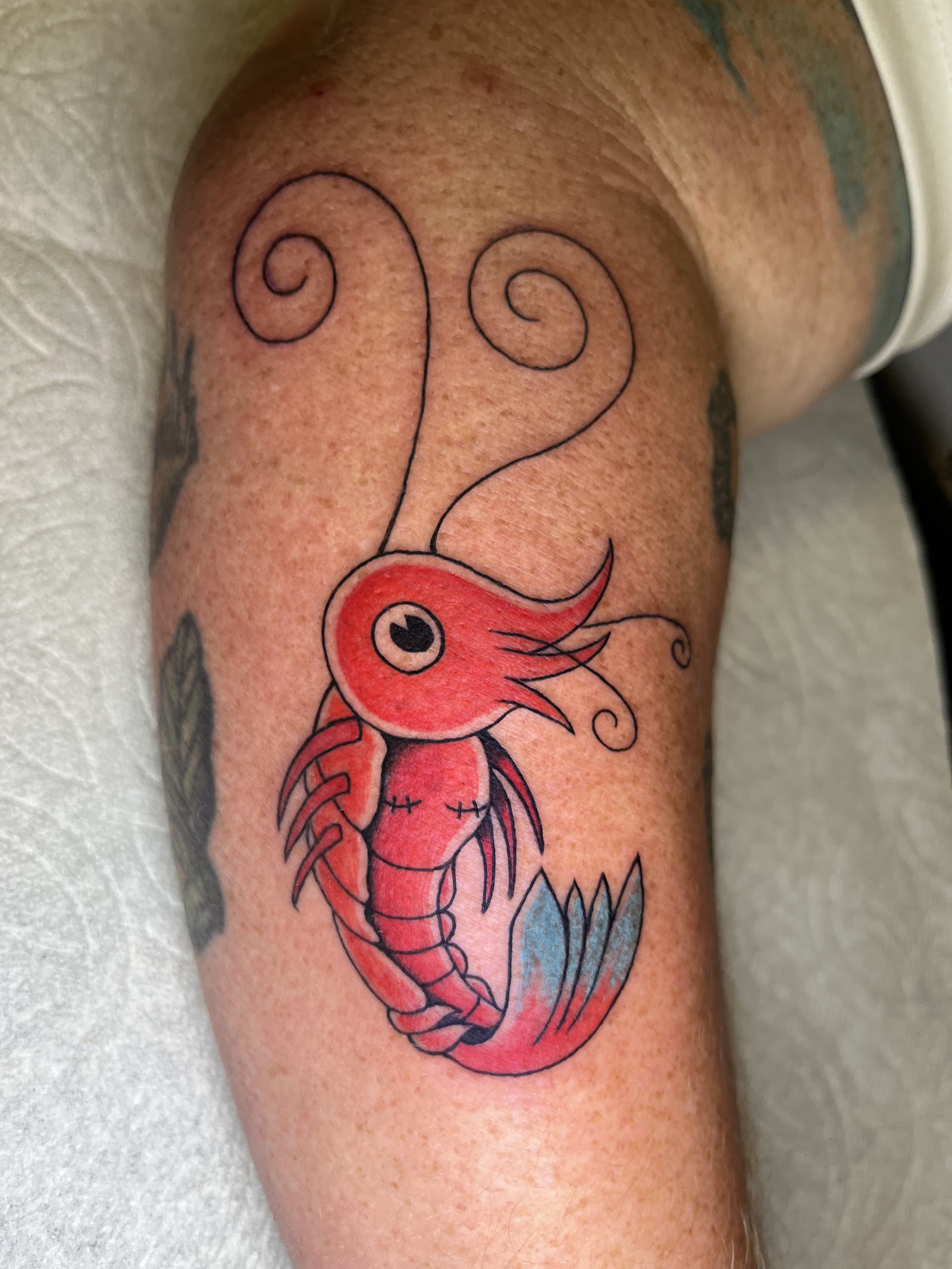 Wolf and Raven Tattoo tattoo work — photo 2