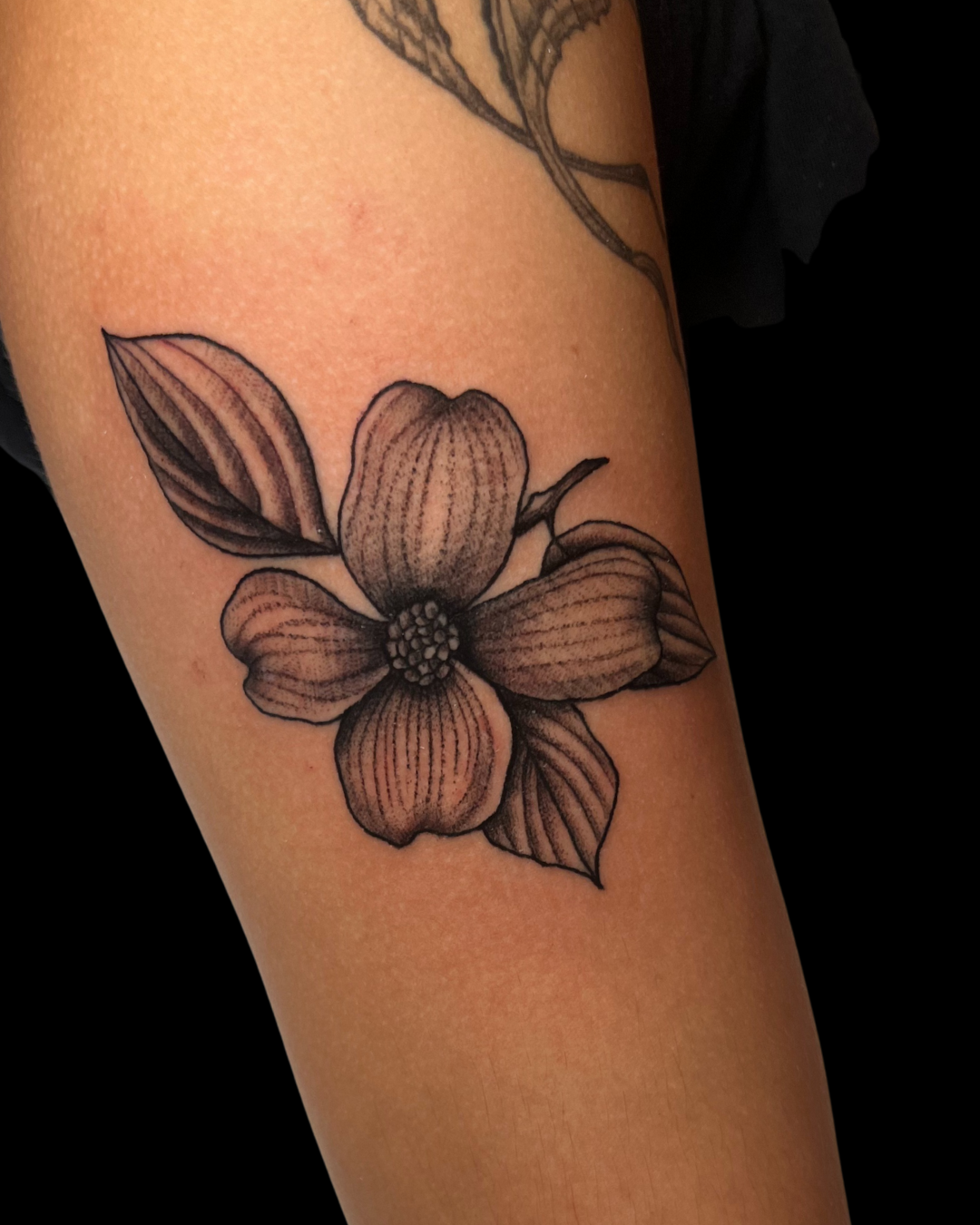 Timeless Tattoo, Inc. tattoo work — photo 2