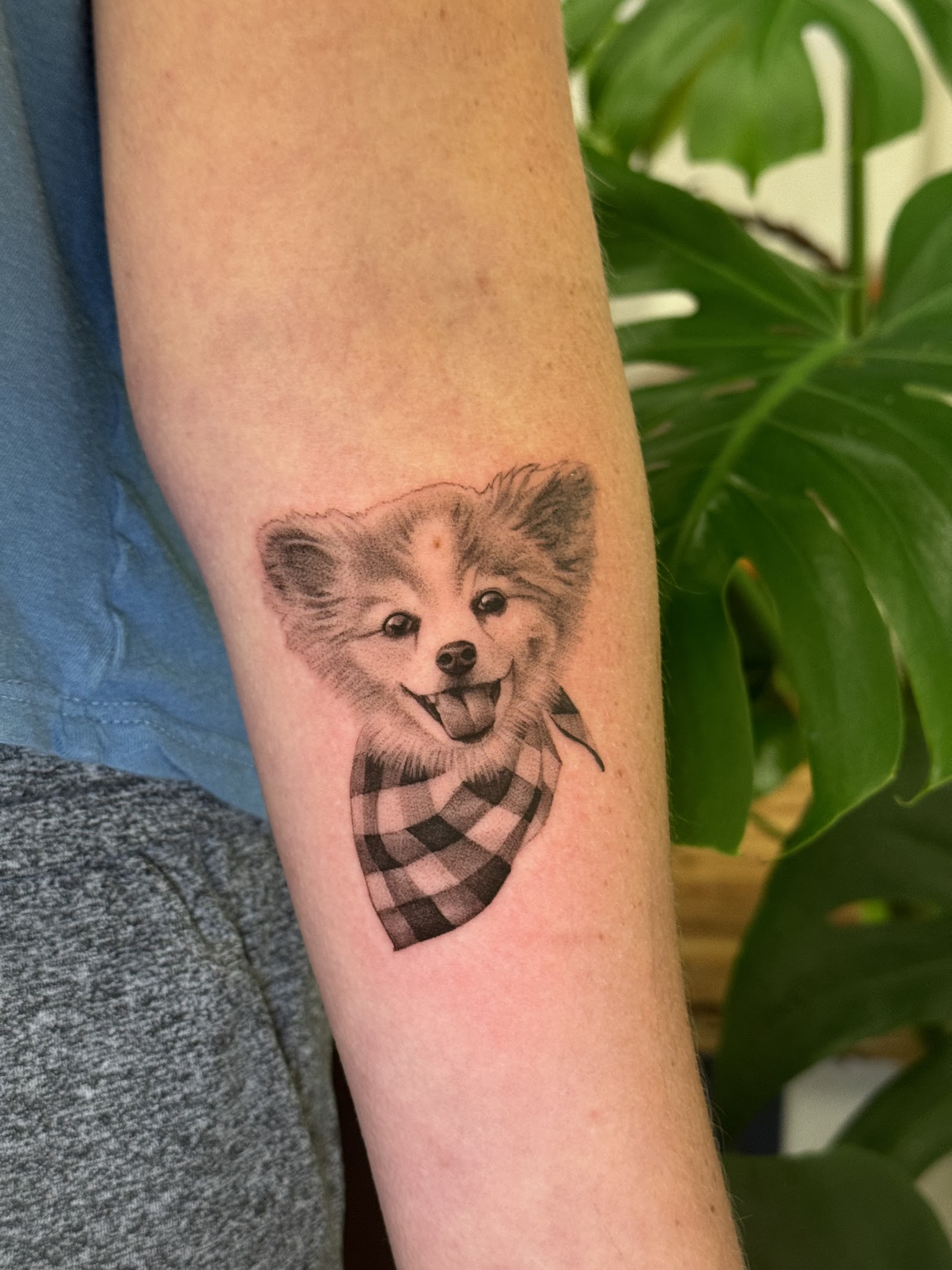 Bougie Bougie Tattoo Studio tattoo parlor in Austin, TX