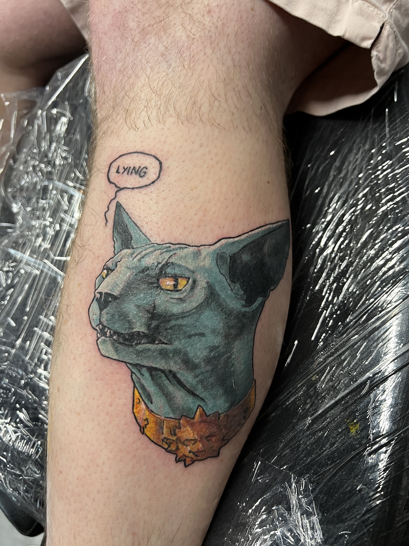 Sanctum Tattoos and Comics tattoo work — photo 3