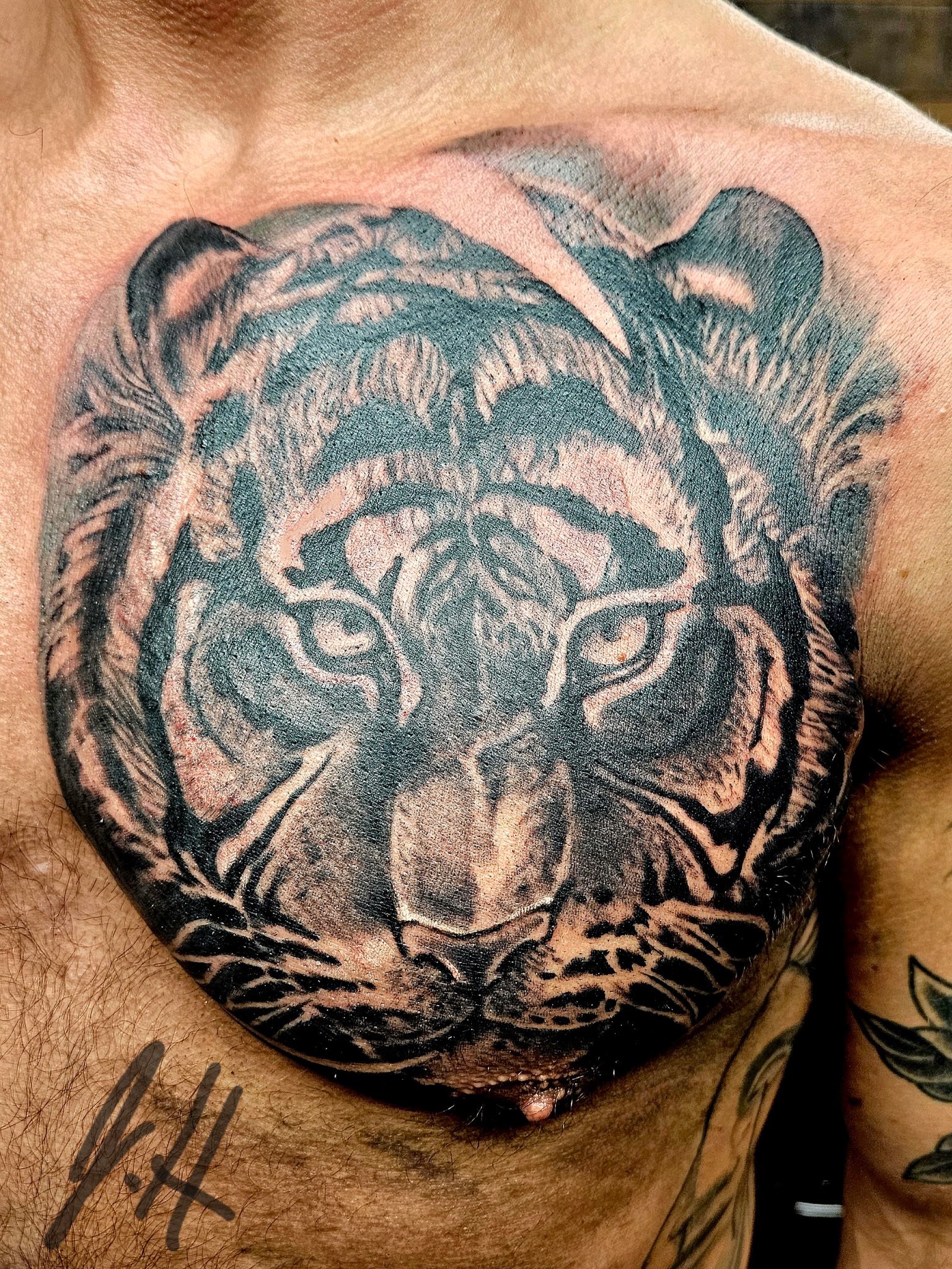 All You Can Ink Tattoo Studio tattoo work — photo 2