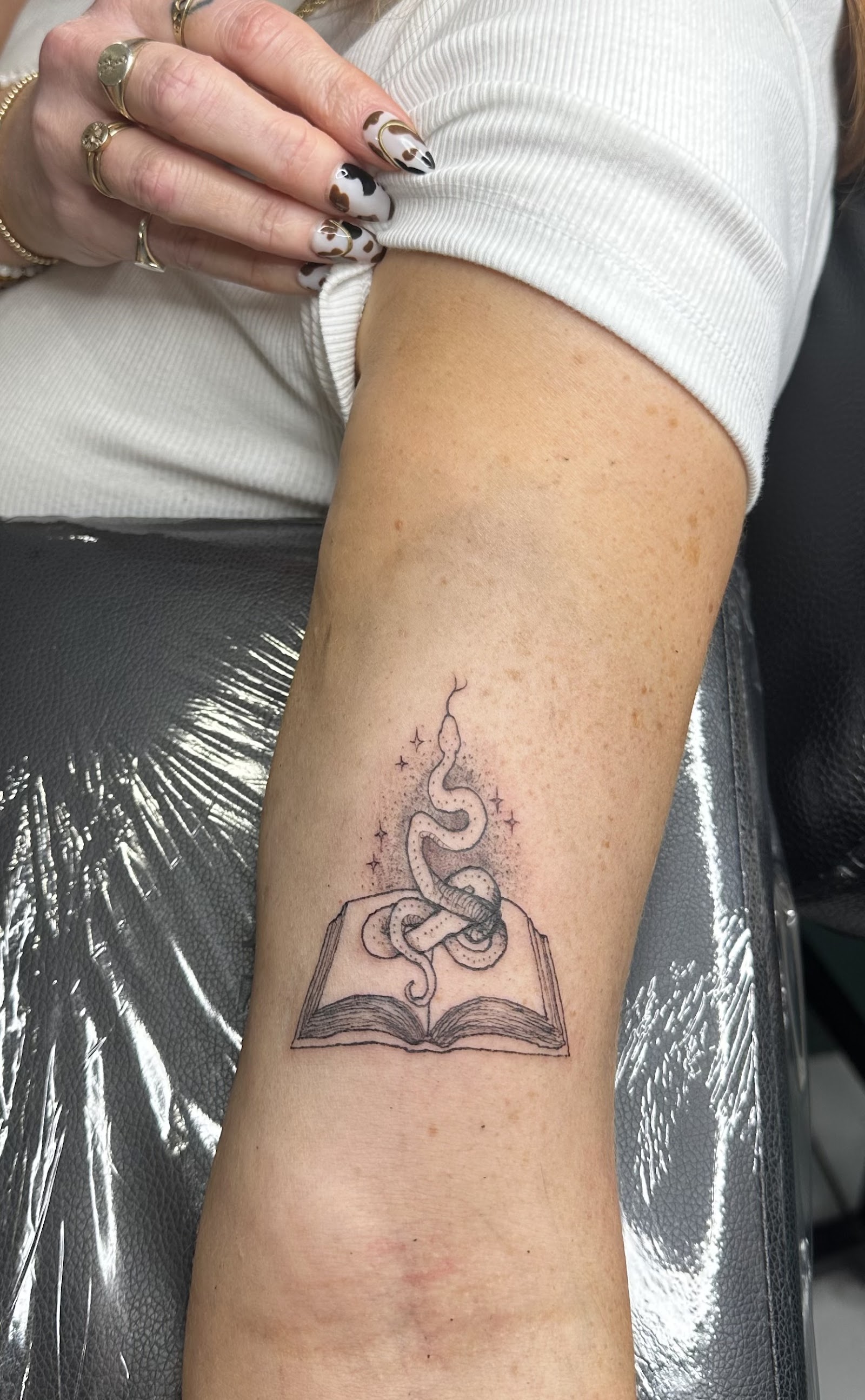 The Fox & Fable — tattoo studio in Boston