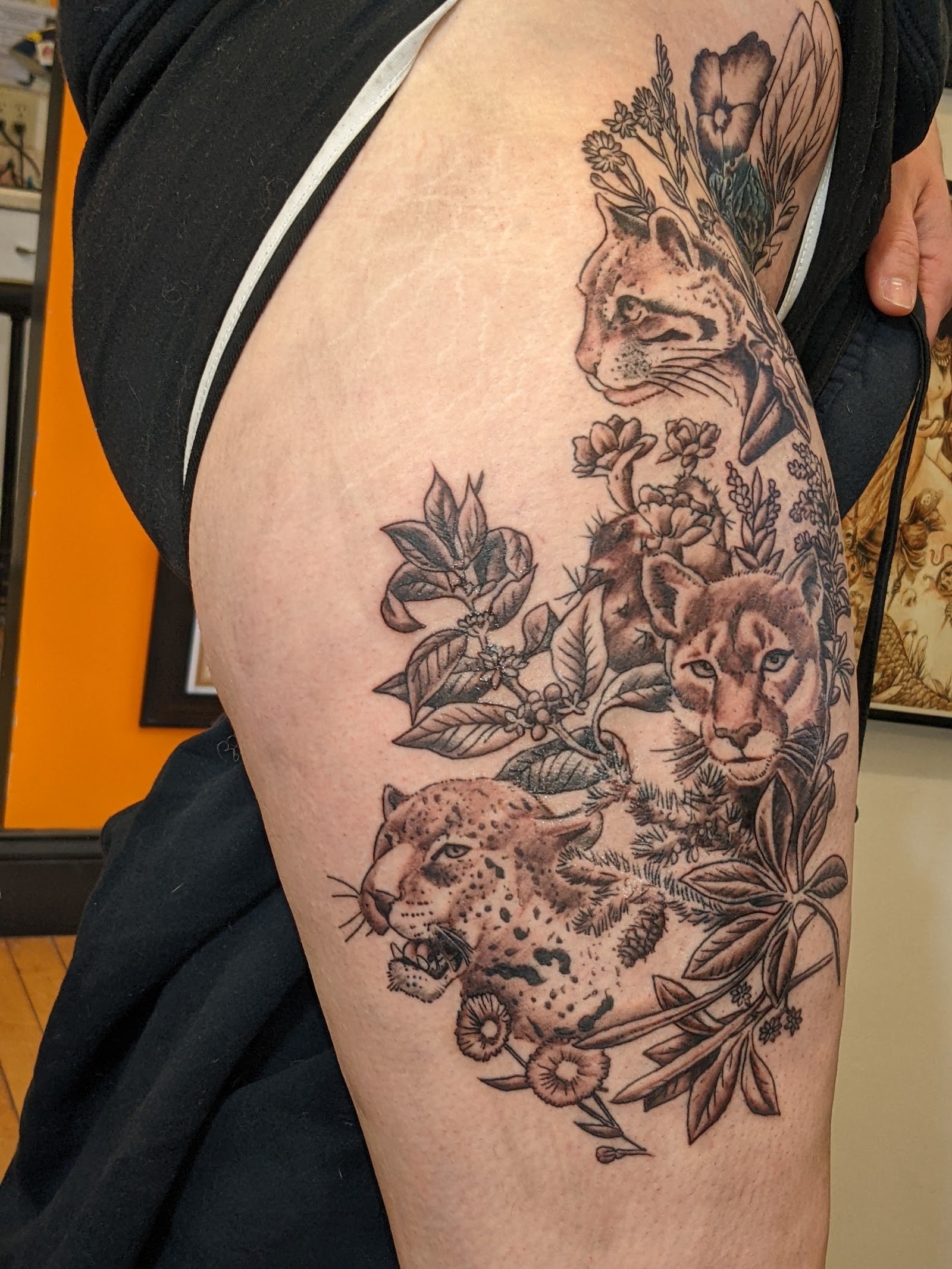 Fat Ram's Pumpkin Tattoo — tattoo studio near Brookline