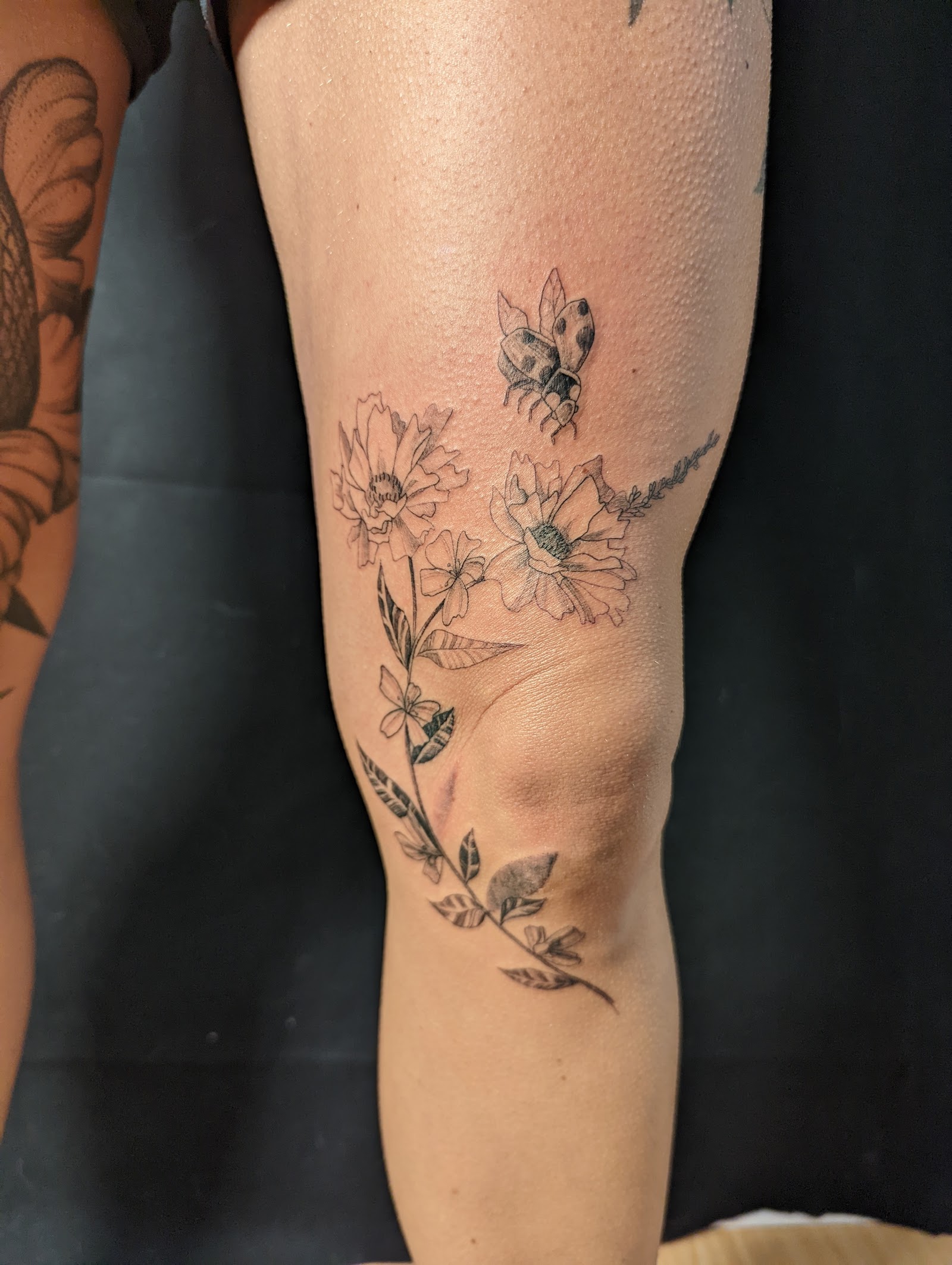 Lucky Leaf Tattoo tattoo work — photo 2
