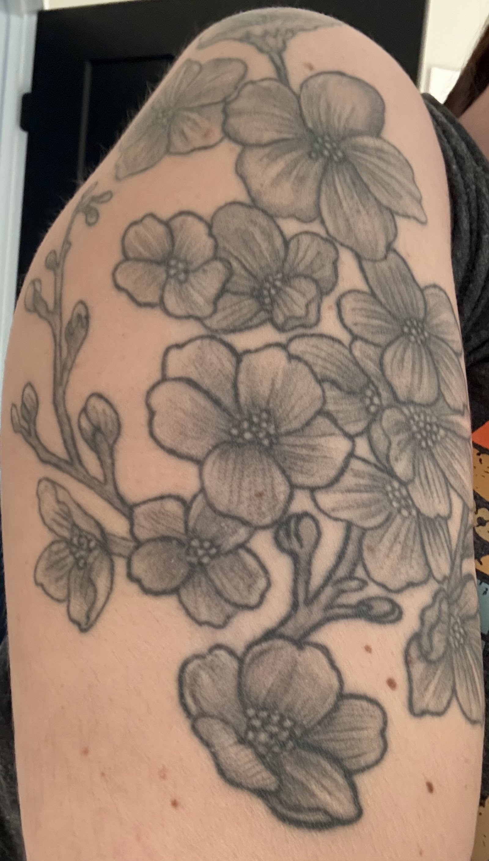 Asylum Tattoo tattoo work — photo 2