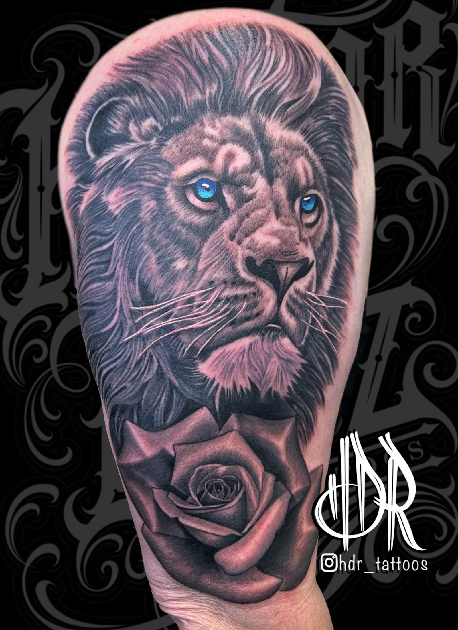 Ink Cat Tattoo tattoo work — photo 3