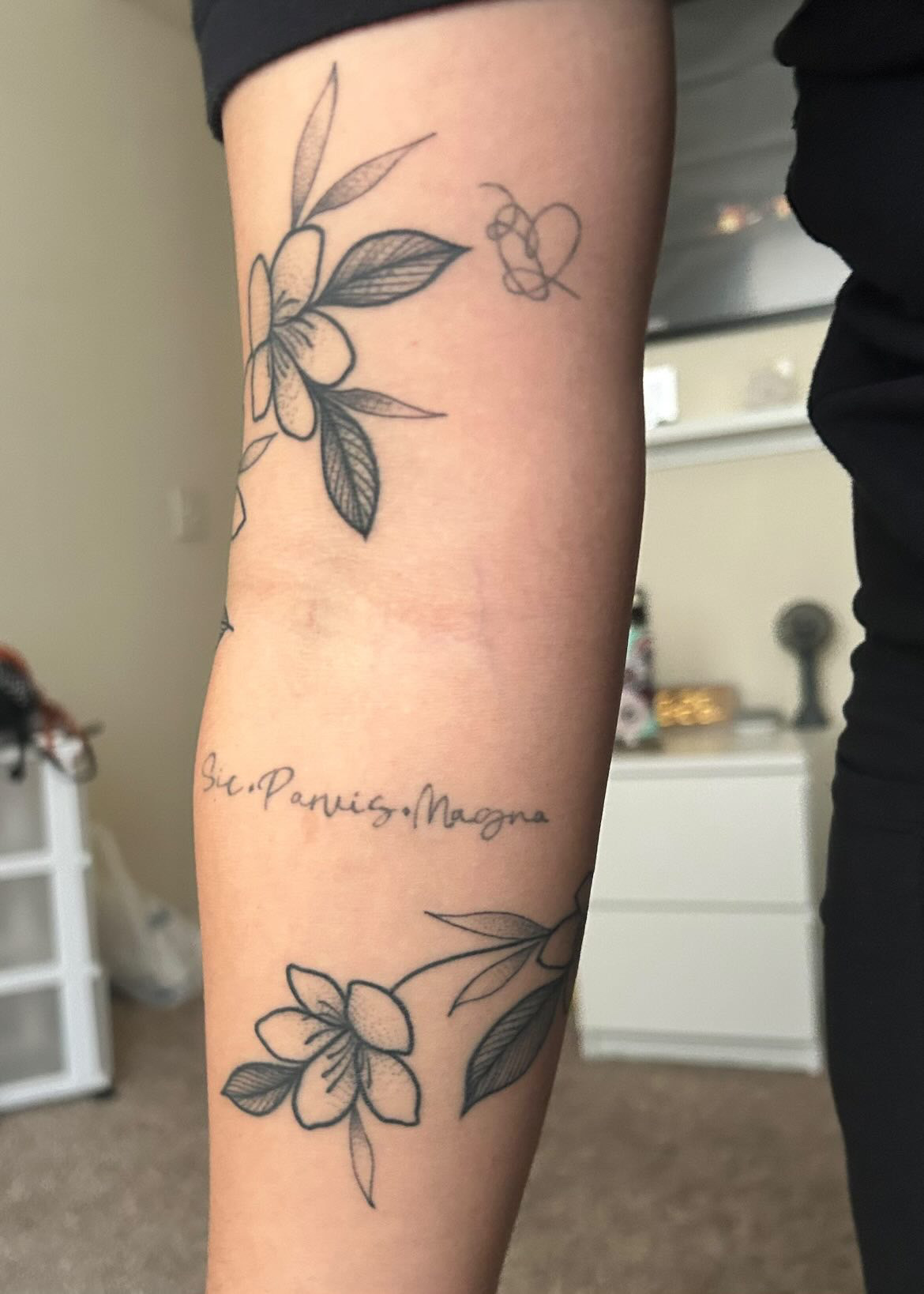 Lady Magnolia Tattoo & Piercing tattoo parlor in Dallas, TX