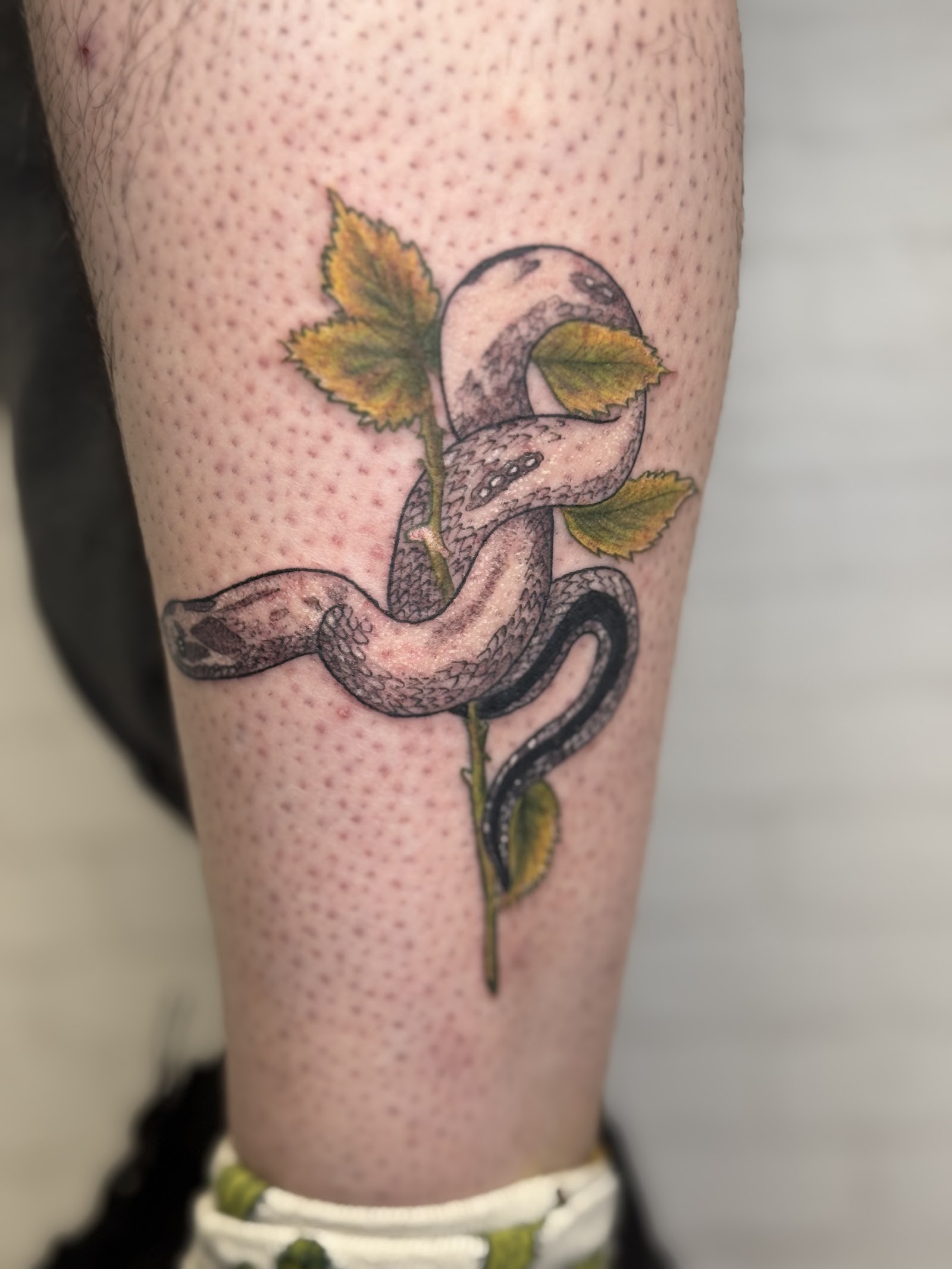 Tribe Tattoo tattoo work — photo 3
