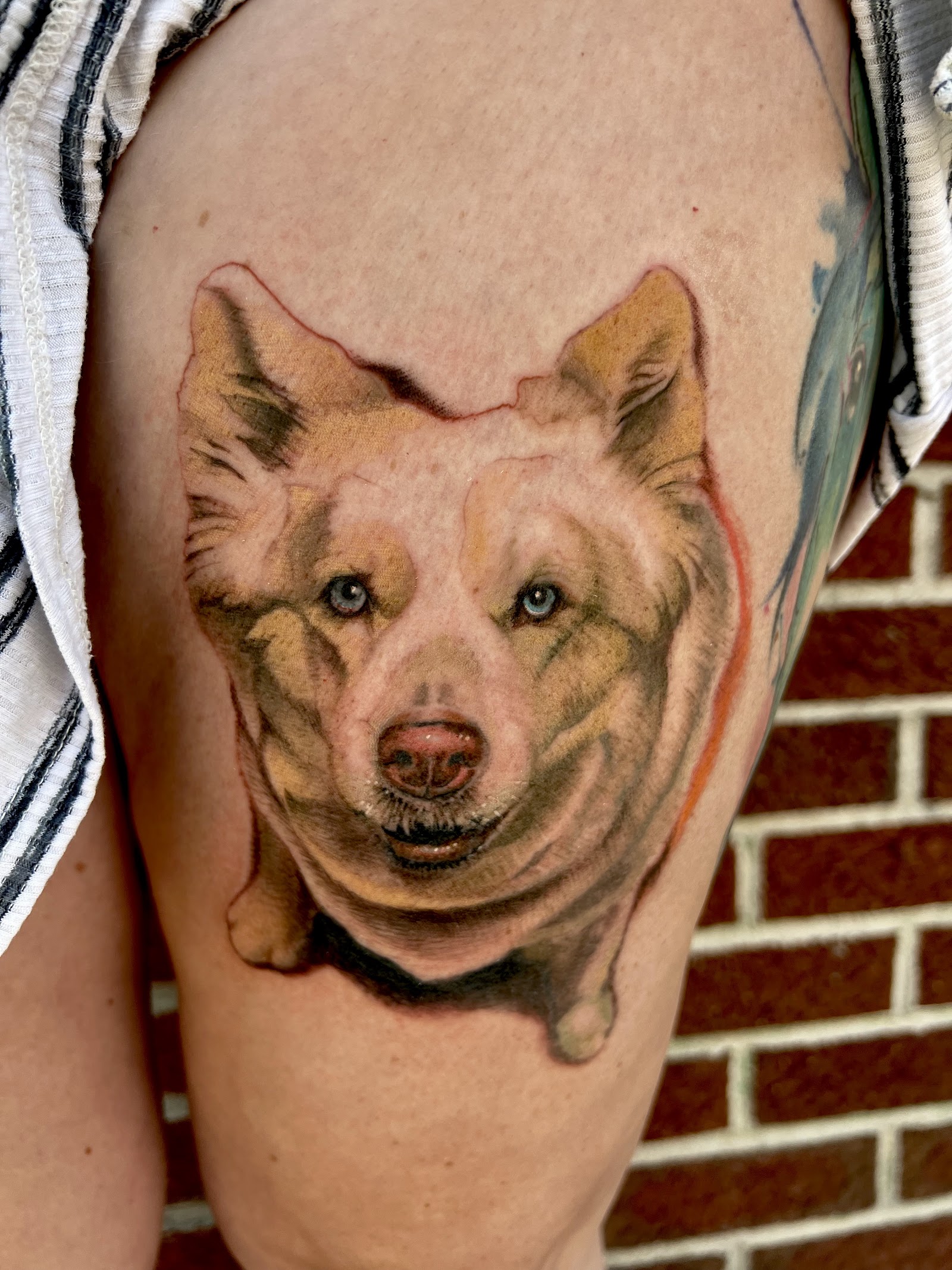 Urban Element Tattoo tattoo work — photo 2