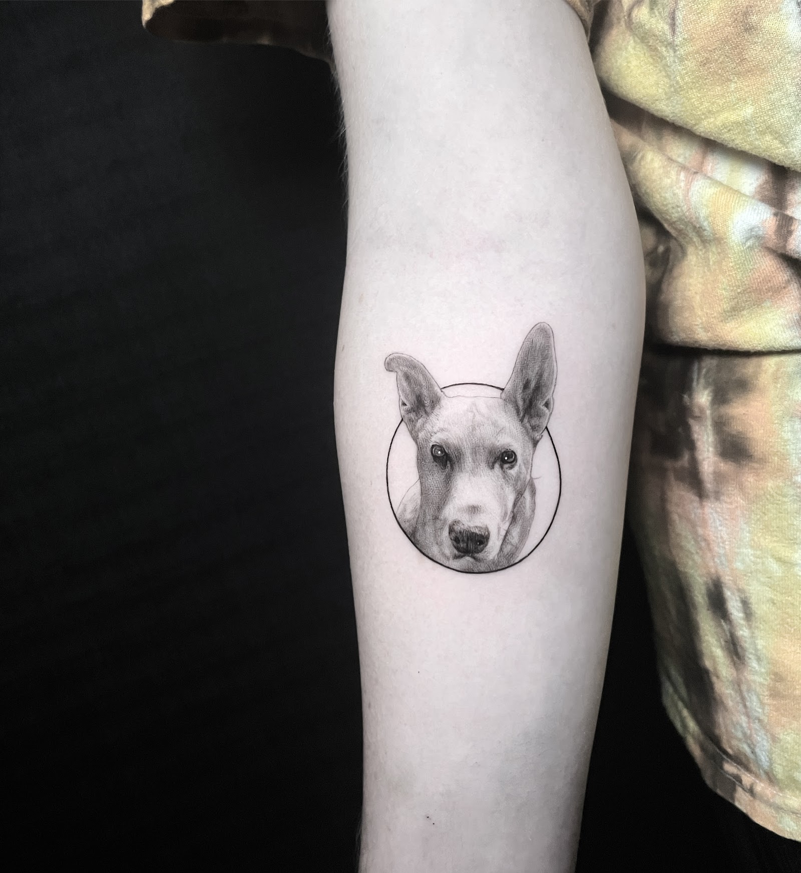 Title Tattoo Studios tattoo work — photo 3