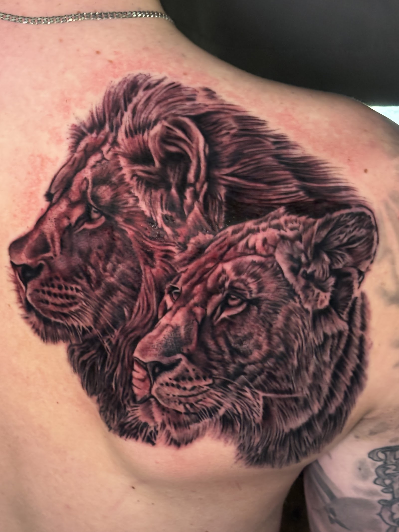 Revival Tattoo Studio tattoo parlor in Urbandale, IA