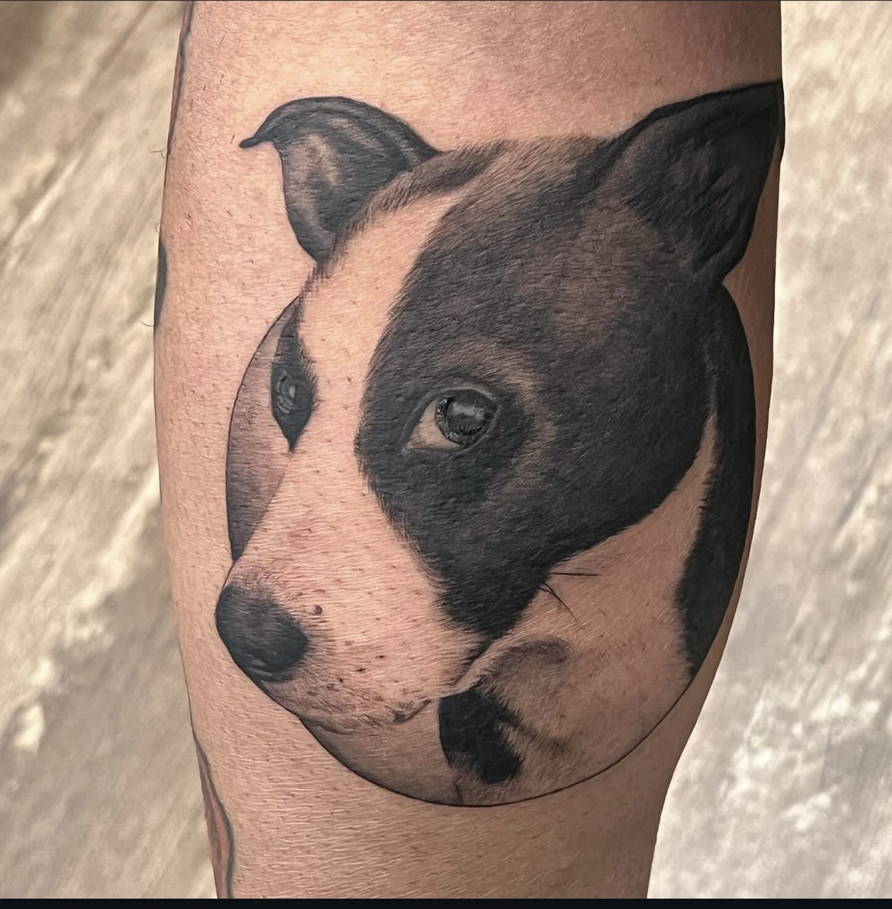 The Lucky 7 Tattoo Studio tattoo work — photo 3
