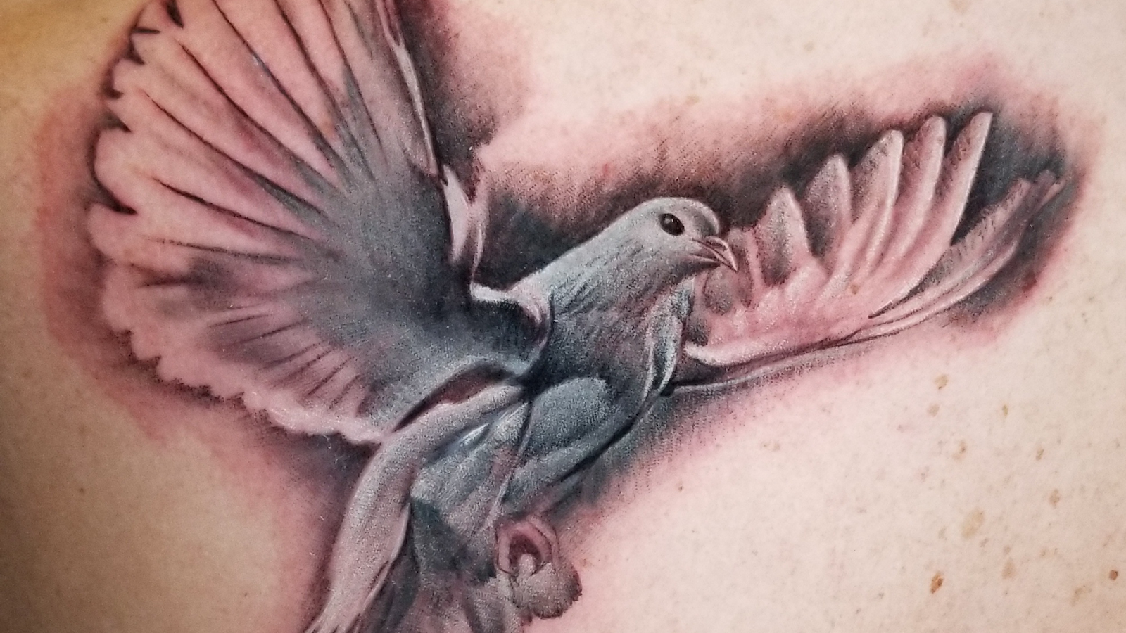 Hollywood Stars Tattoo — tattoo studio near Inglewood