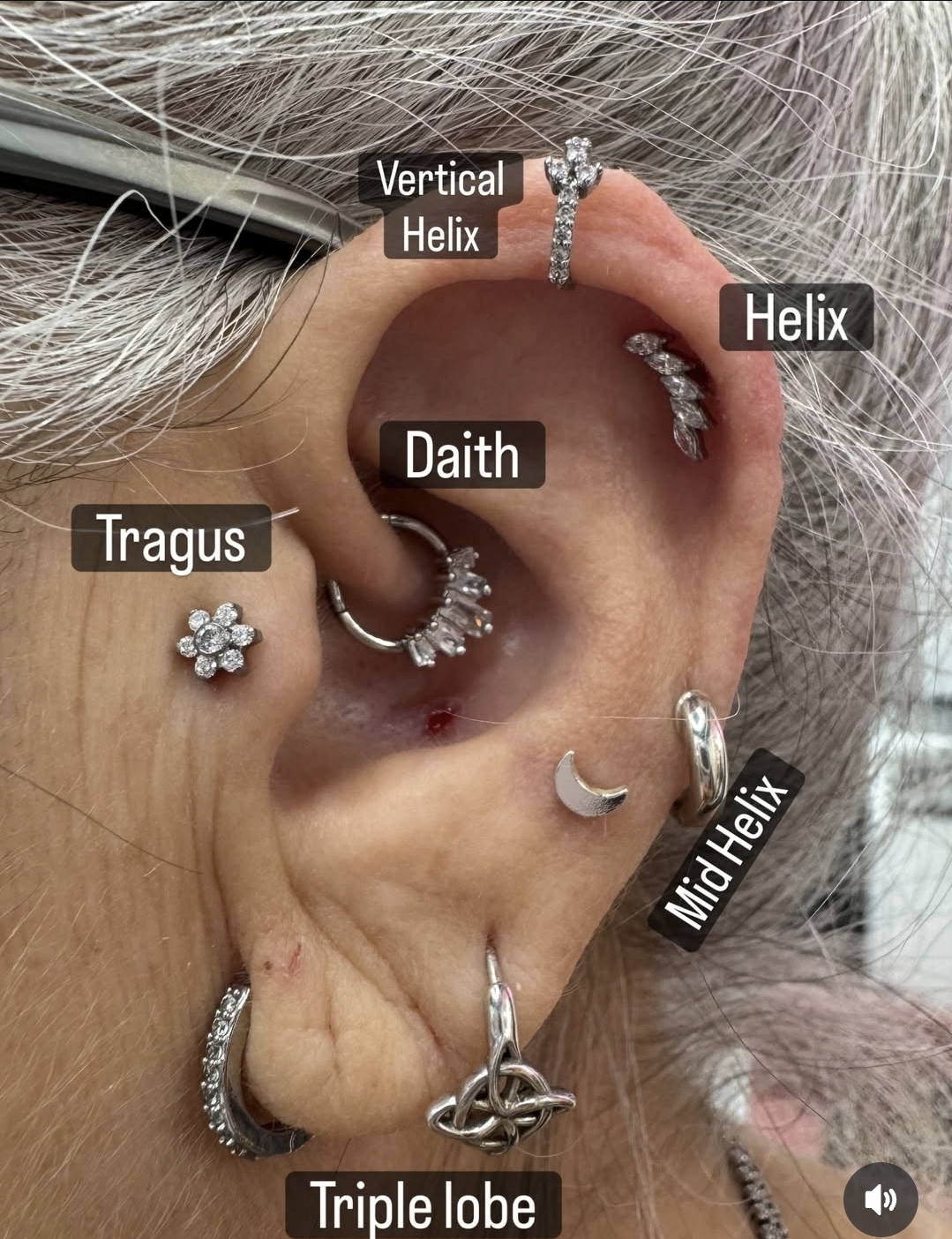 Cool Tattoo Piercing | Los Angeles tattoo work — photo 3