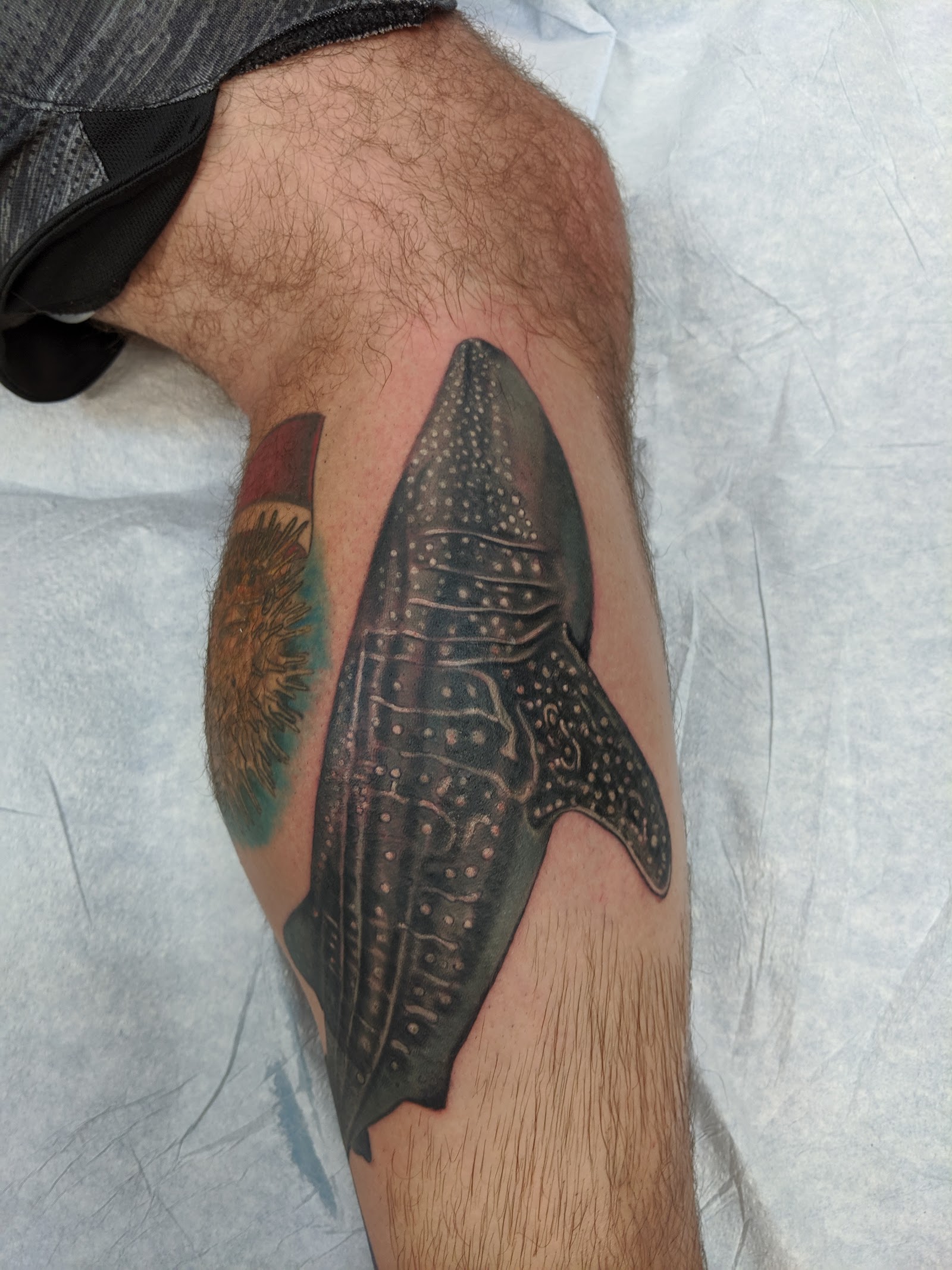 Steve's Tattoo — tattoo studio in Madison