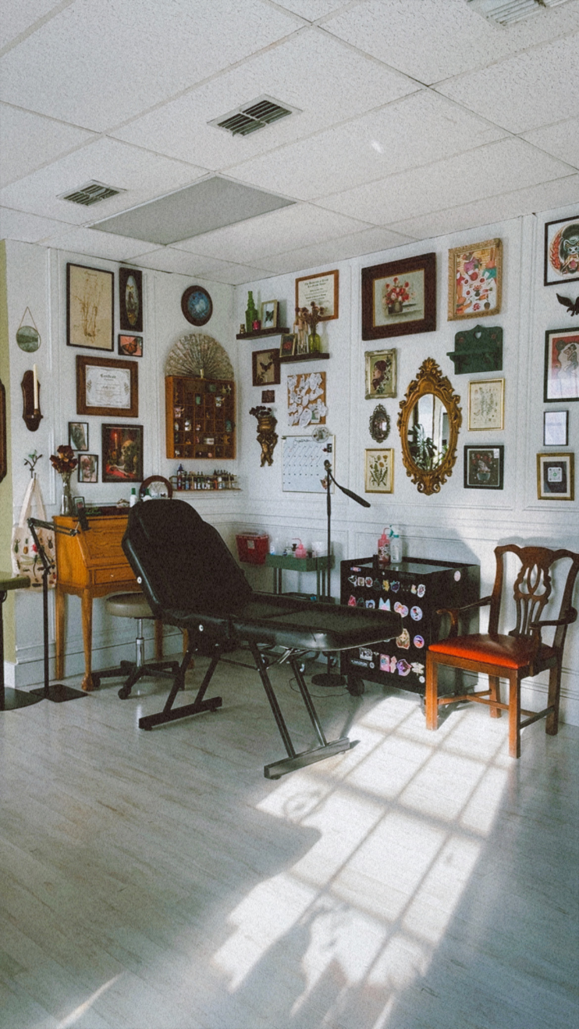 Wild Willow Tattoo Studio tattoo parlor in McAllen, TX