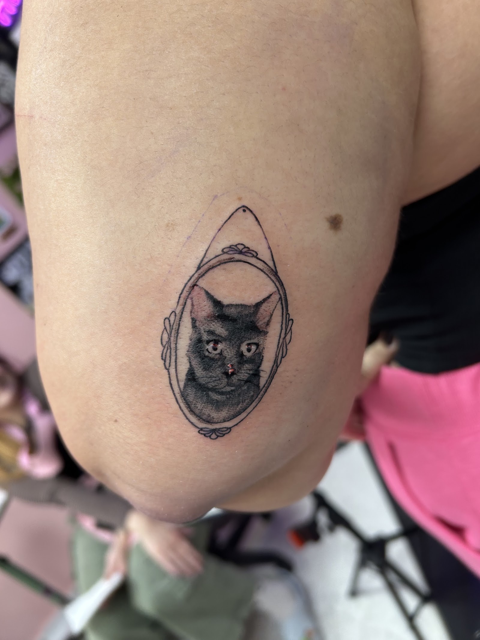 Pink Parlor Tattoo Studio tattoo parlor in McAllen, TX