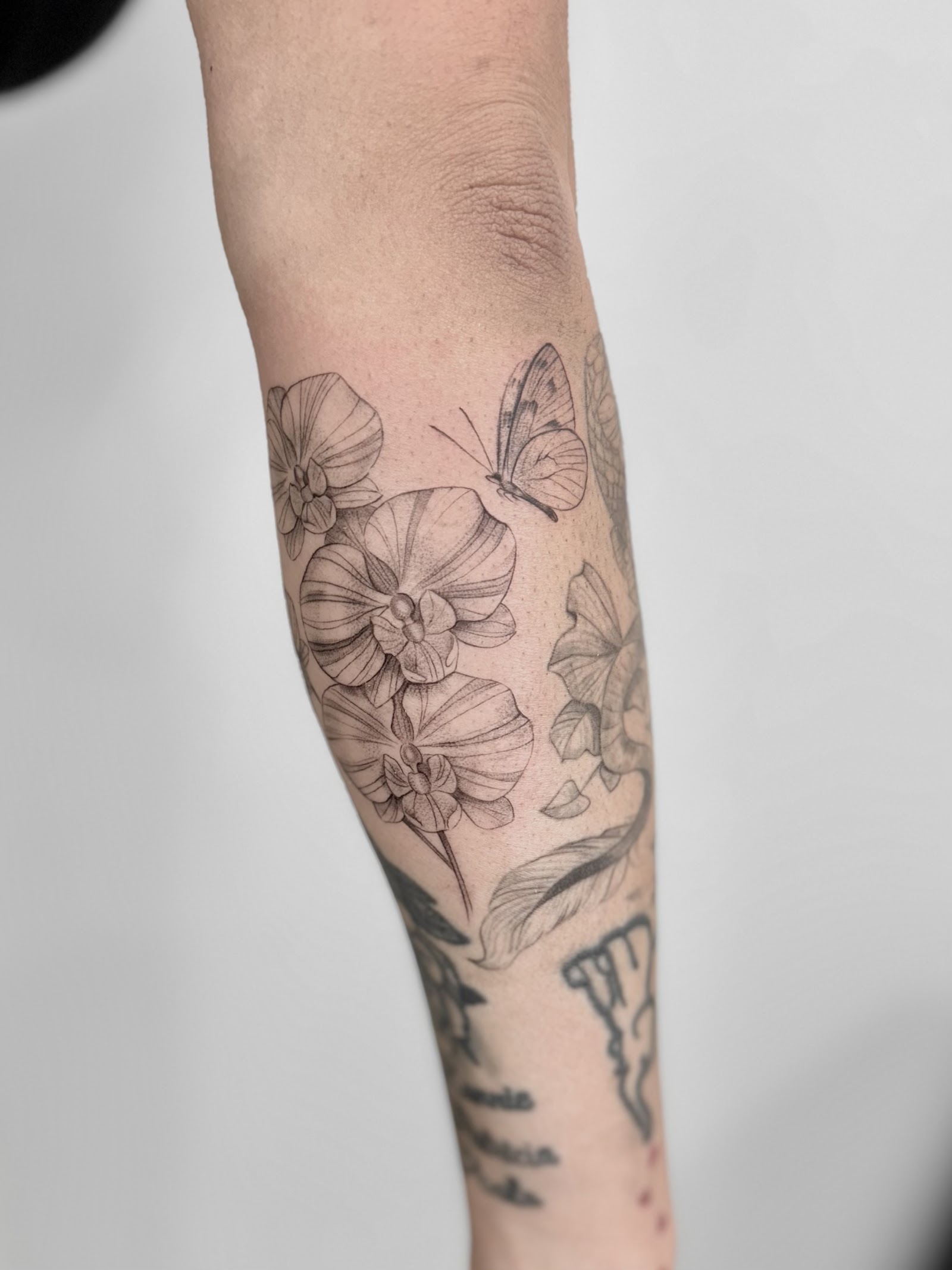Wild Cherry Tattoo Studio tattoo work — photo 2