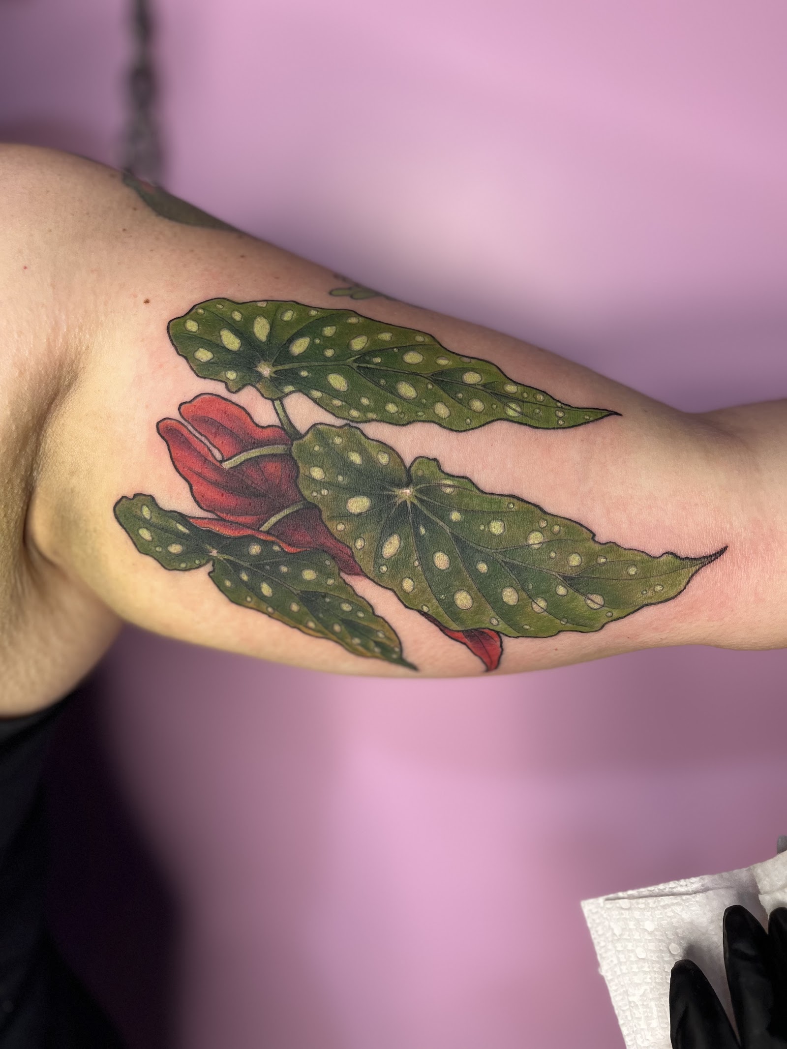 Pink Widow Tattoo tattoo work — photo 2