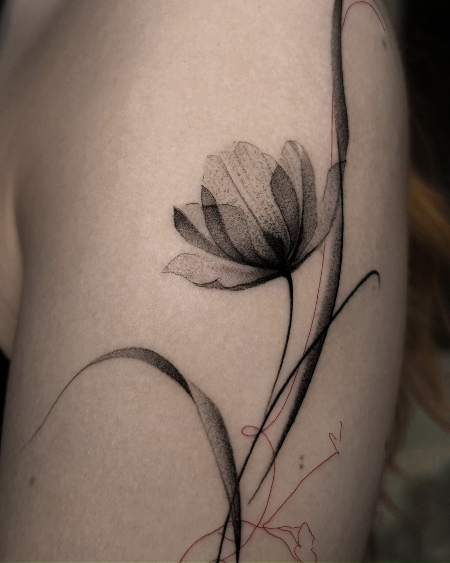 IGLA Tattoo Studio NYC — tattoo studio in New York