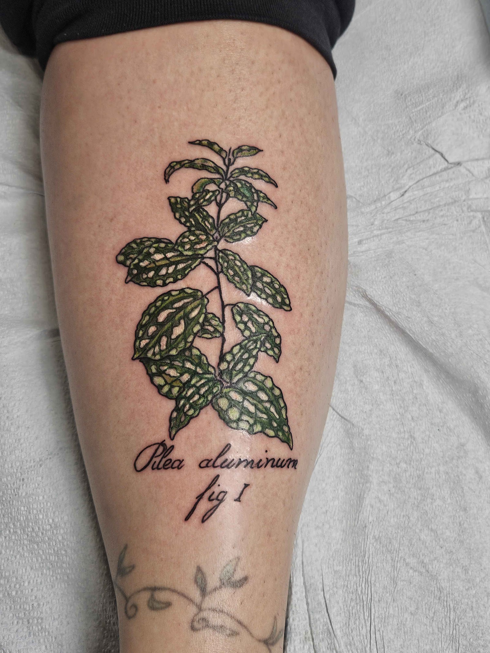 Anatomy Tattoo tattoo work — photo 2