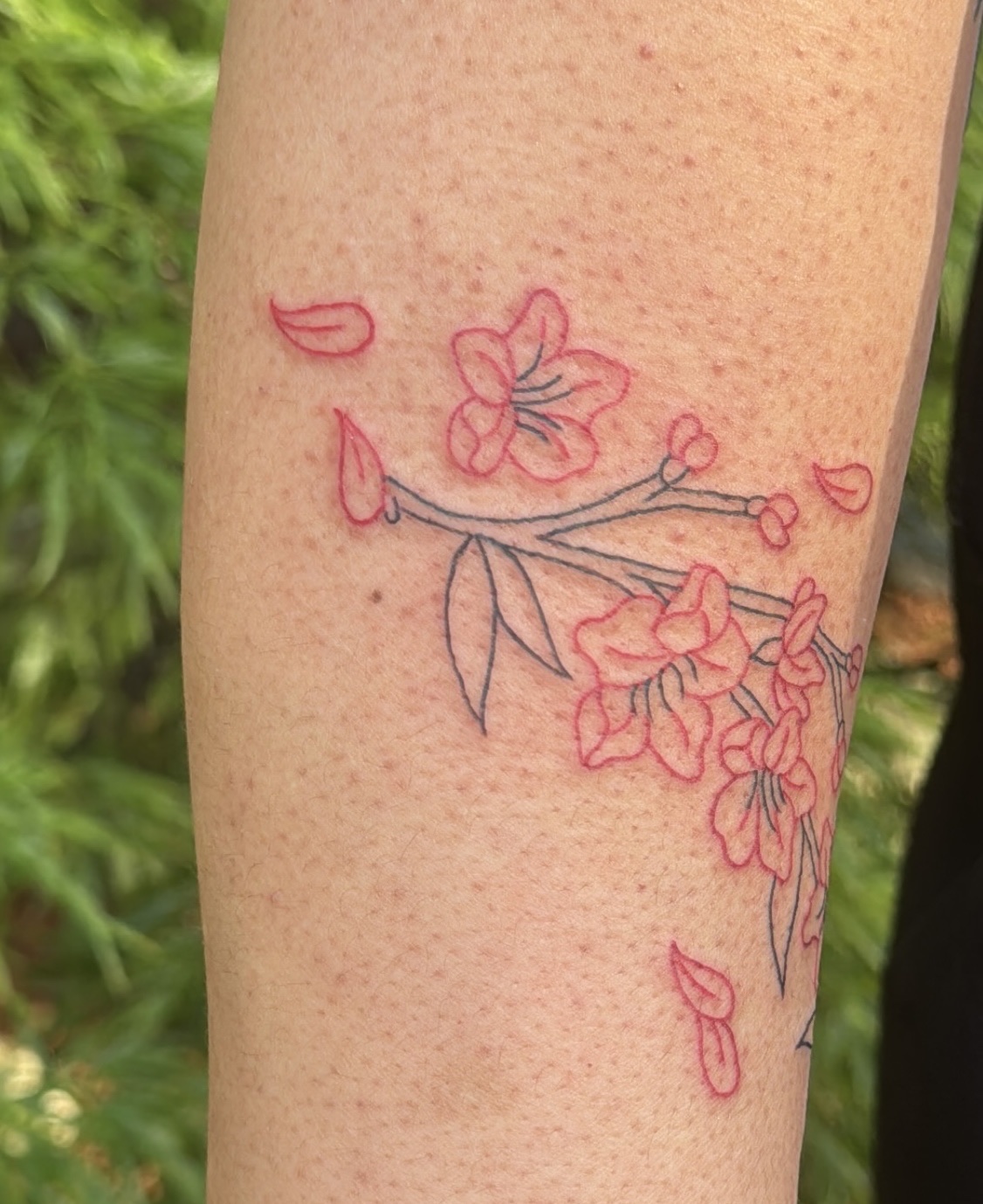 Plush Tattoo & Intuitive Arts tattoo parlor in Portland, OR