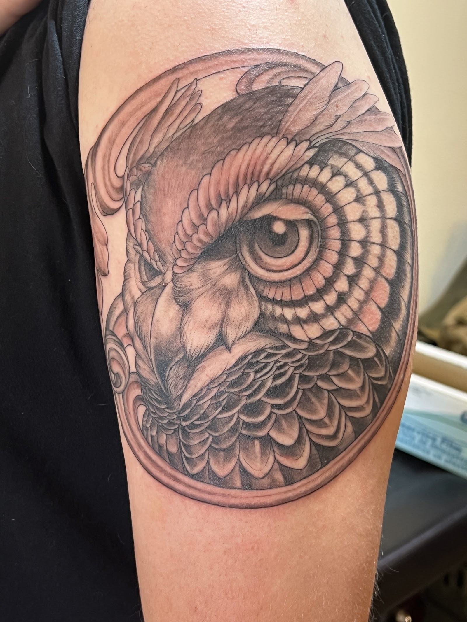 Albatross Tattoo tattoo work — photo 2