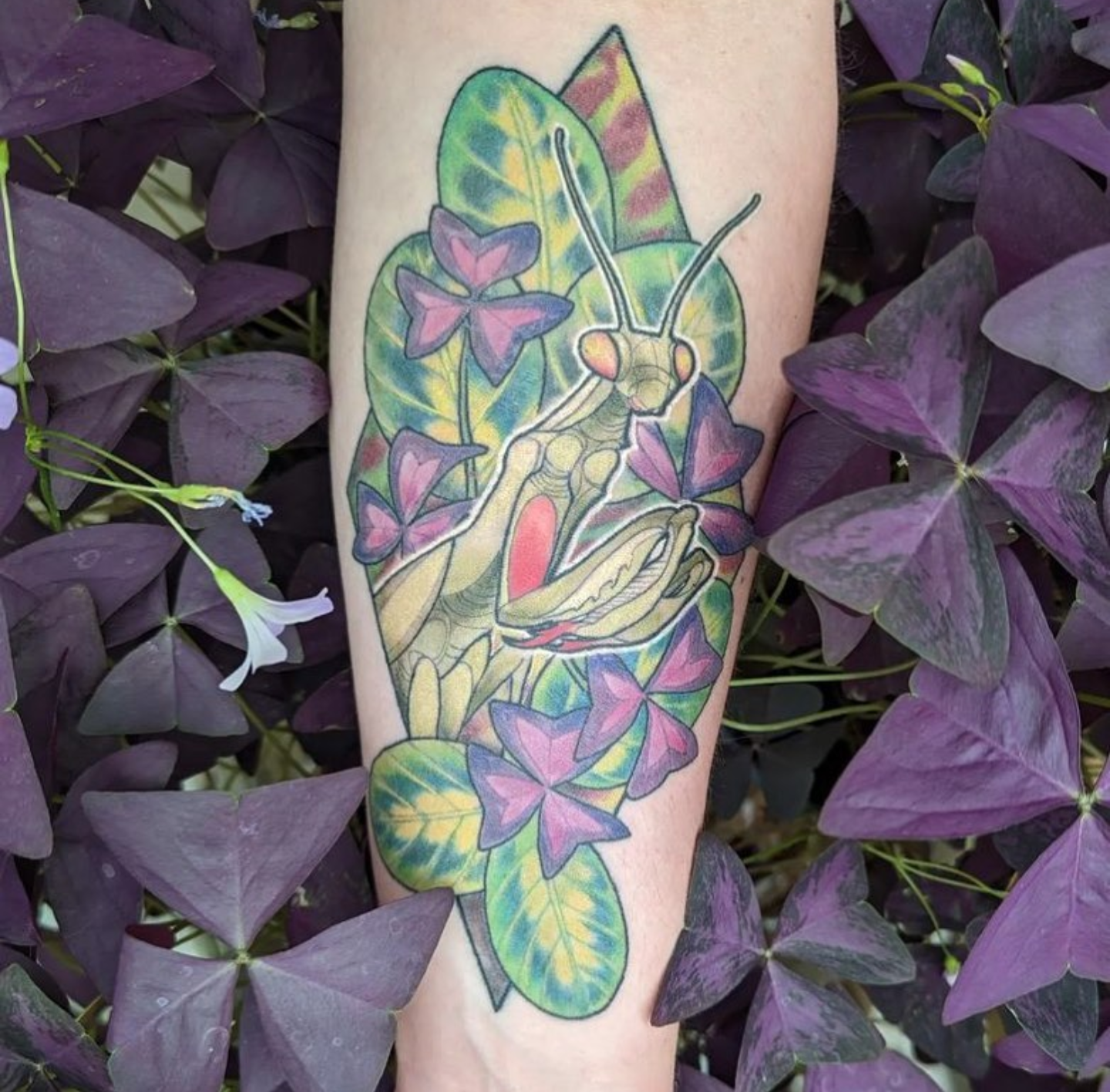 Locust Tattoo tattoo work — photo 2