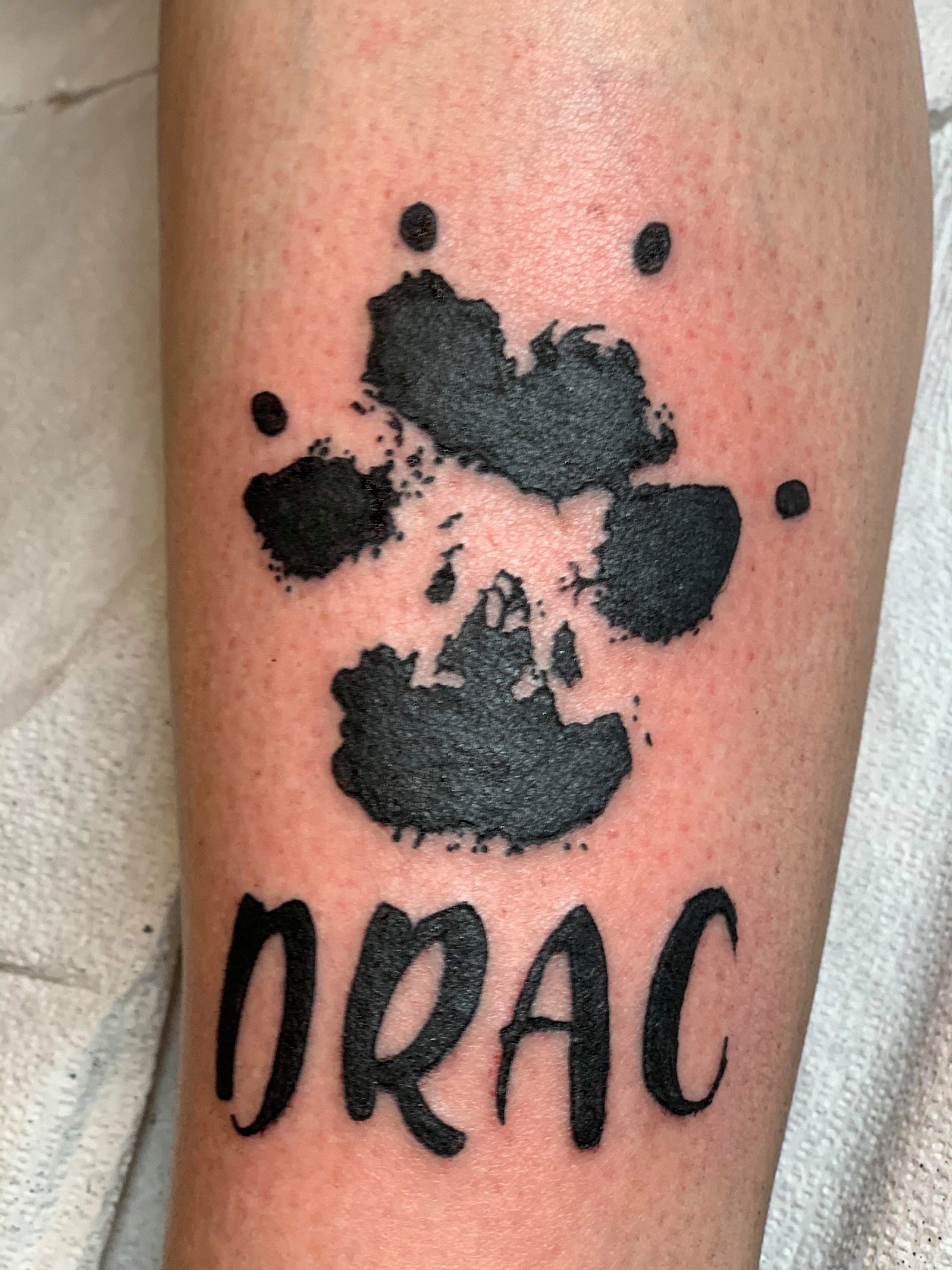 Hydra tattoo tattoo work — photo 2
