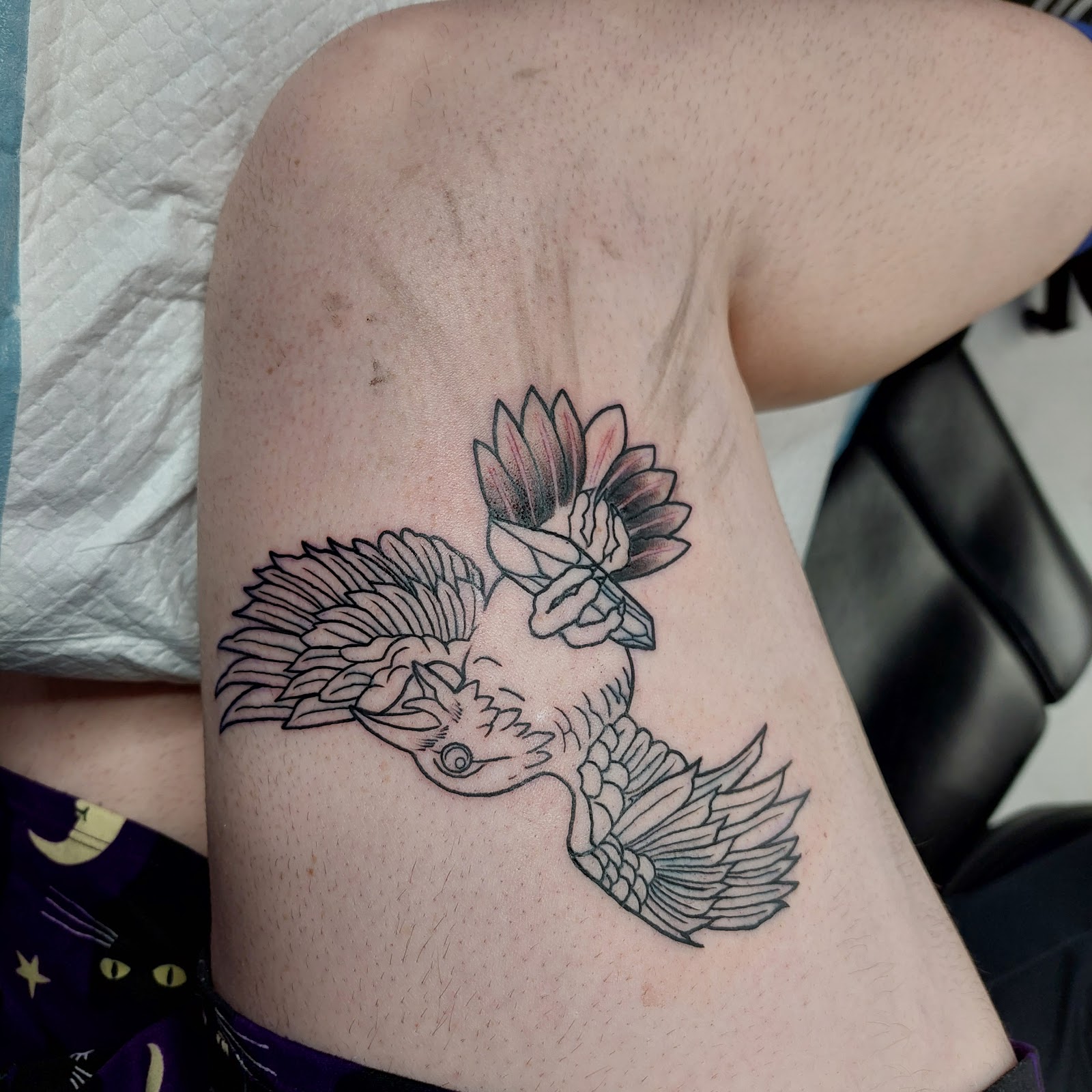 Black Sphynx tattoo parlor in San Antonio, TX