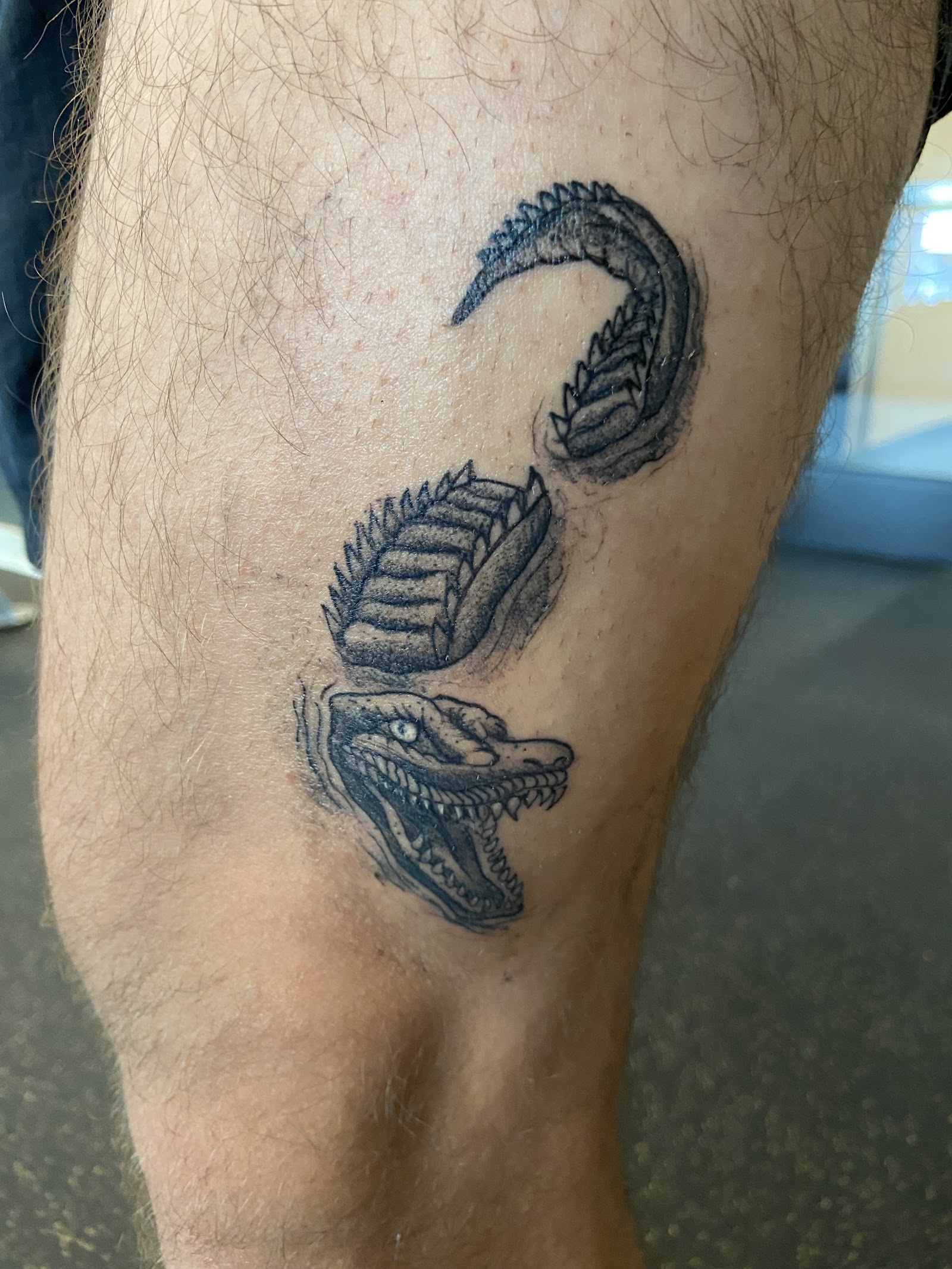 San Diego Tattoo Company — tattoo studio in San Diego