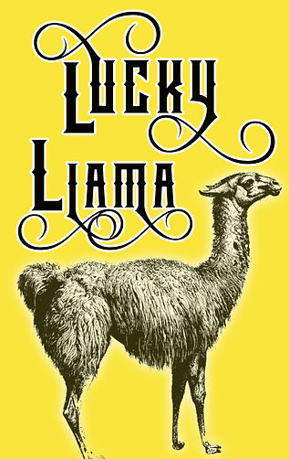 Lucky Llama Tattoo — tattoo studio near Plymouth