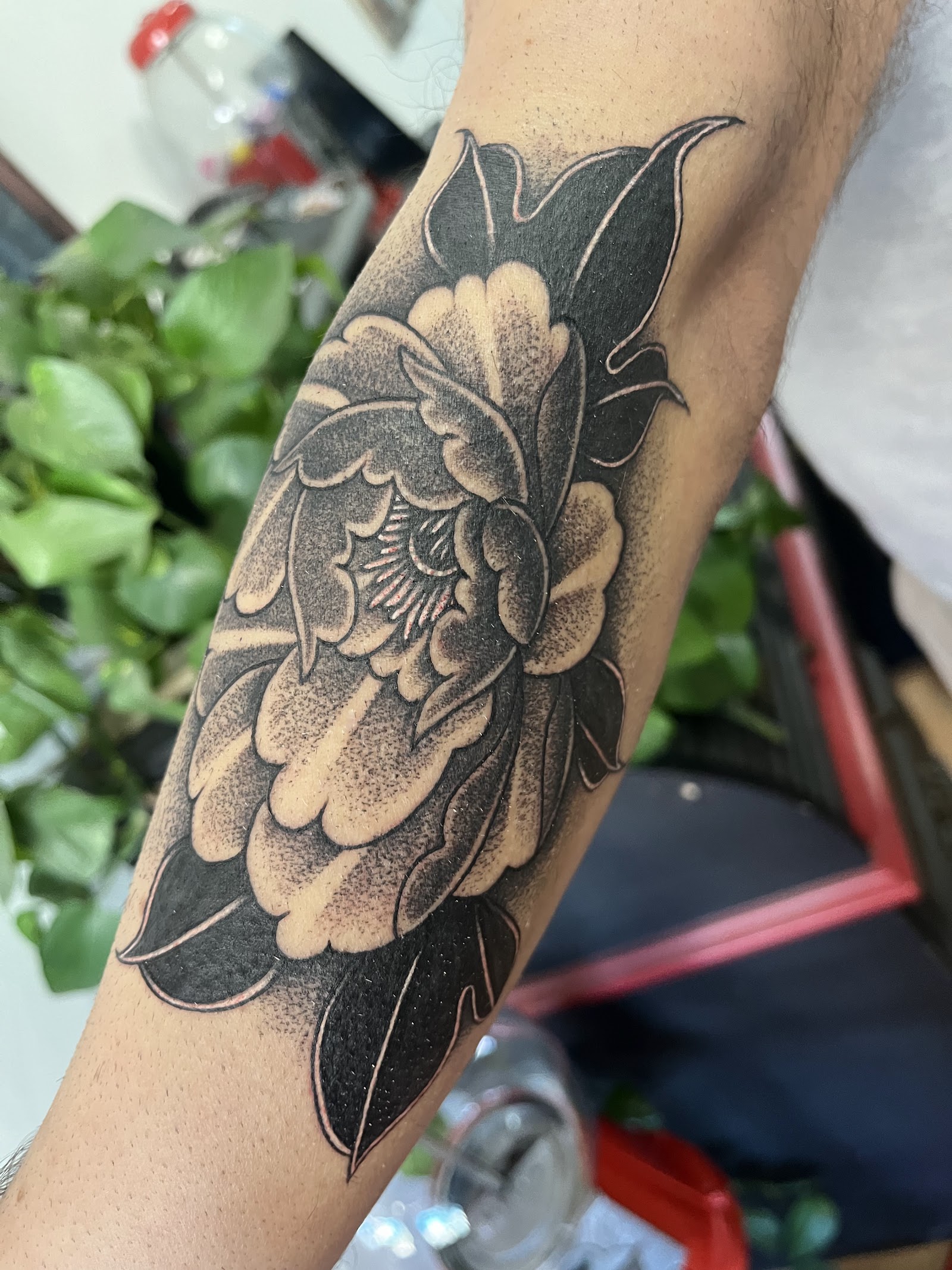 Grape Ape Tattoo tattoo work — photo 2