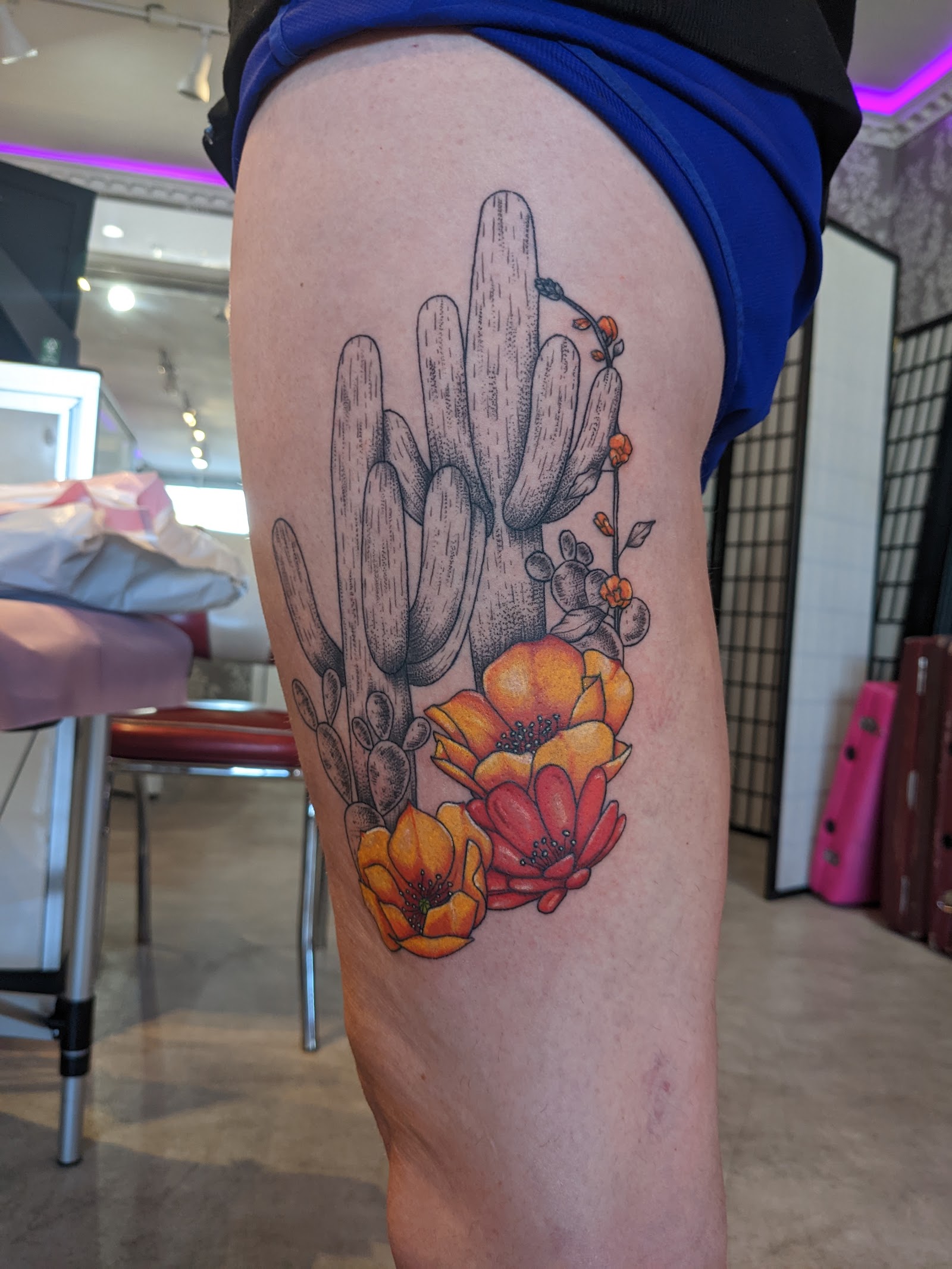 Broken Clover Tattoo, Laser, and Piercing — tattoo studio in Tucson