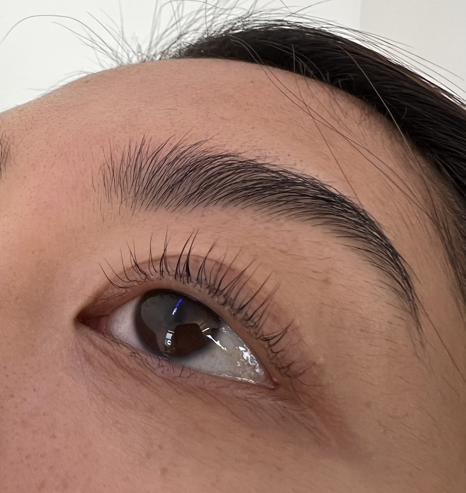 Lash L'Amour Boston- Best of Boston Eyelash Extensions & Korean Lash Lift — photo 2