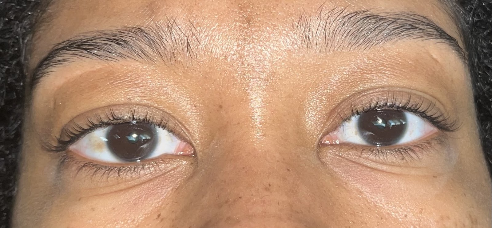 Knox & Olive - A Lash and Brow Studio — photo 2