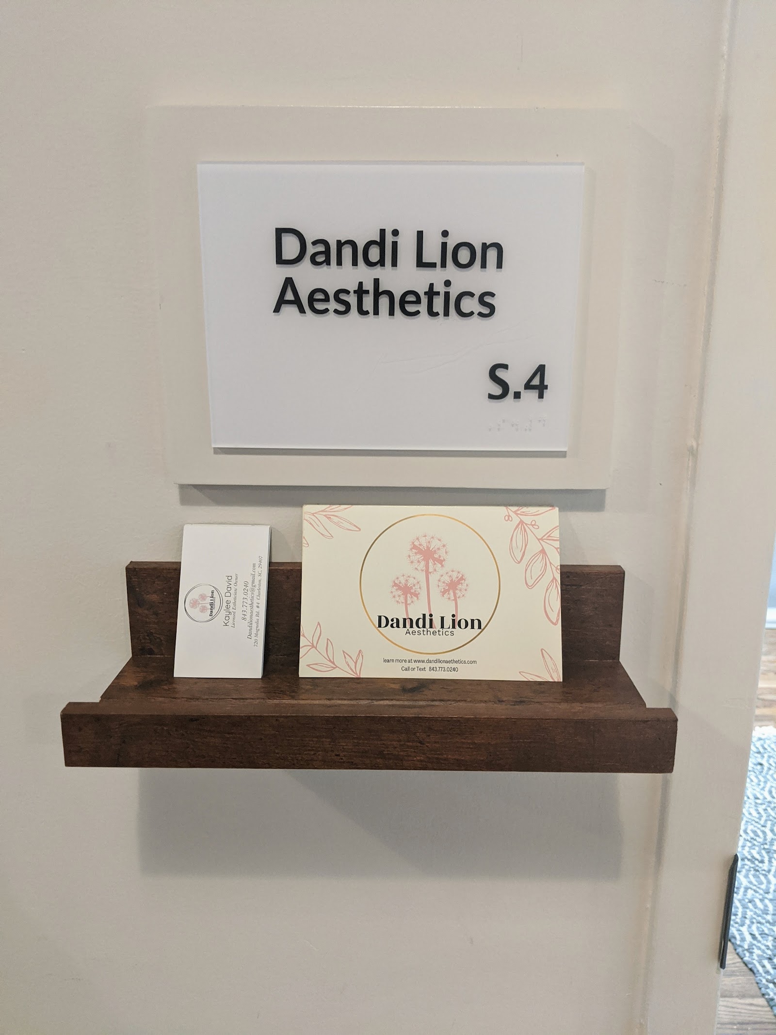 Dandi Lion Aesthetics — photo 3