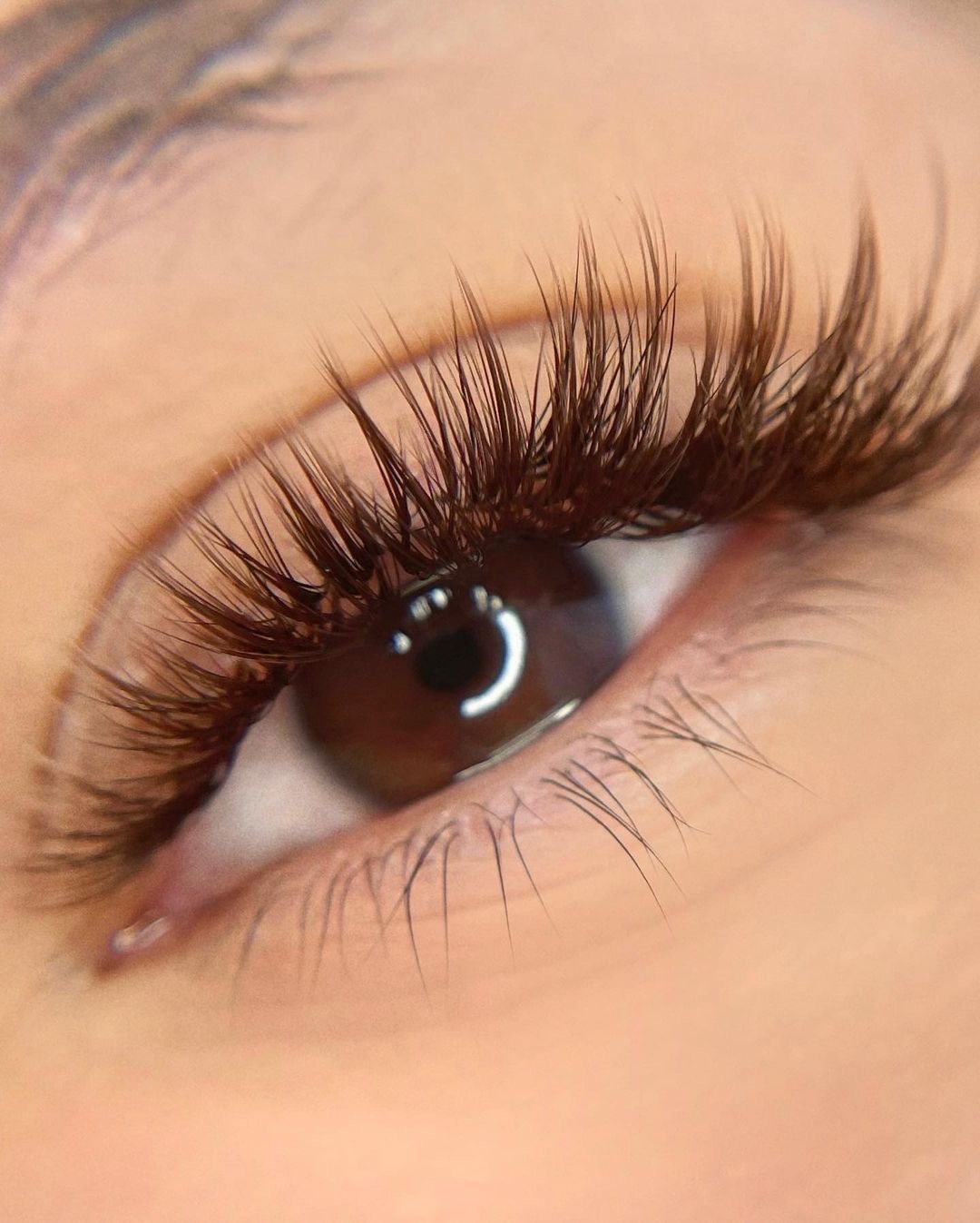 BroWbro Salon (YULI Lash) — photo 3