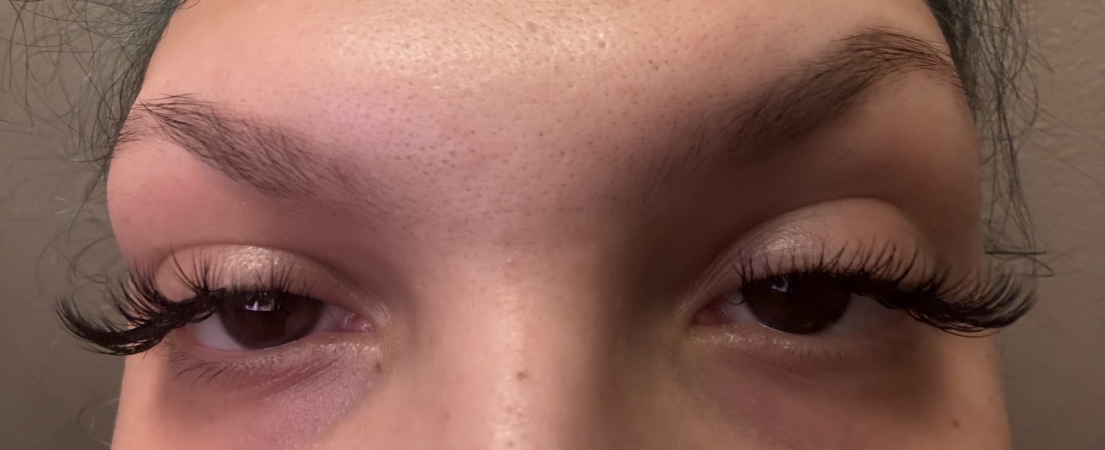 Beauty & Lashes Studio — photo 3
