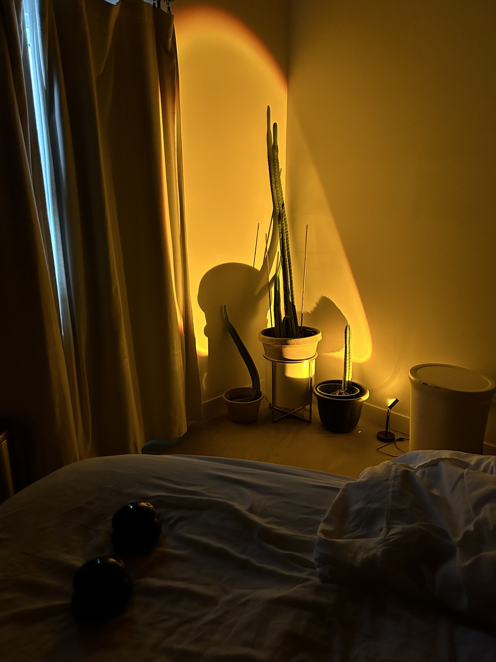 Raw Esthetics Wellness Spa — photo 3