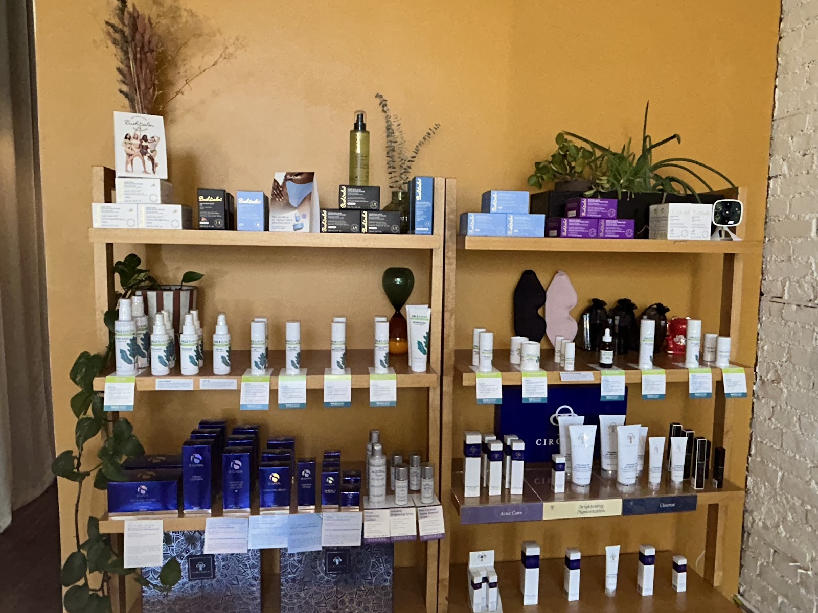 Bloom & Clover Wax Studio — photo 2