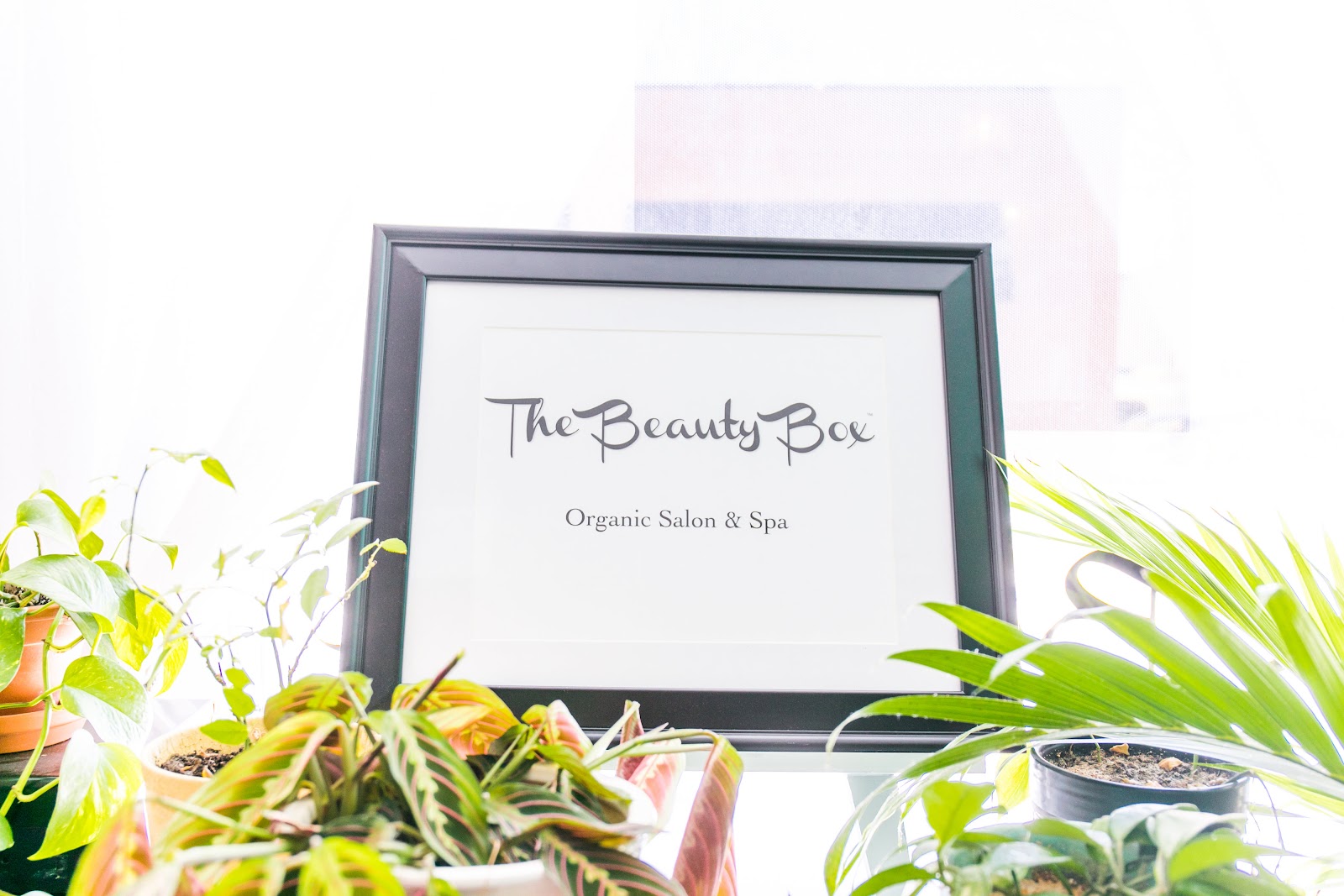 The Beauty Box Organic Salon & Spa — photo 3