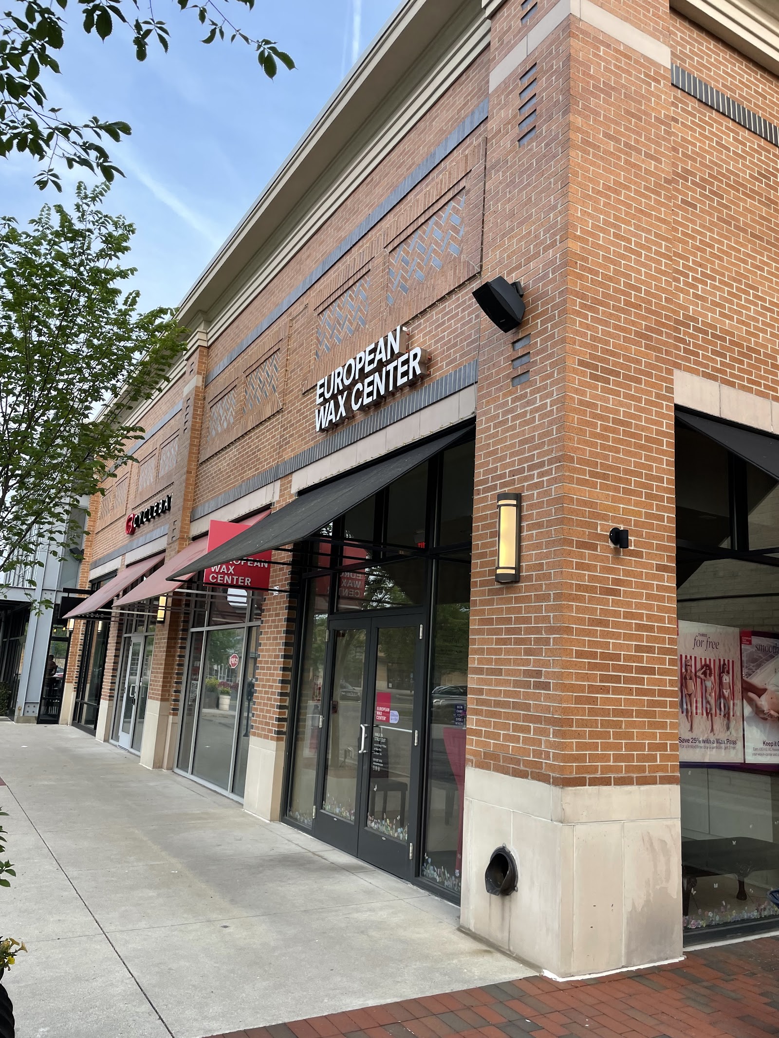 European Wax Center — photo 3