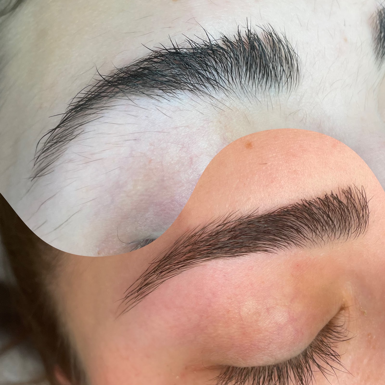 Bloom Waxing Co. — photo 2