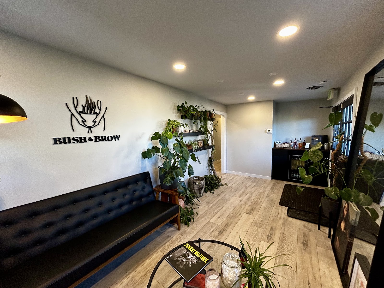 Bush and Brow Brazilian Wax Studio — photo 2