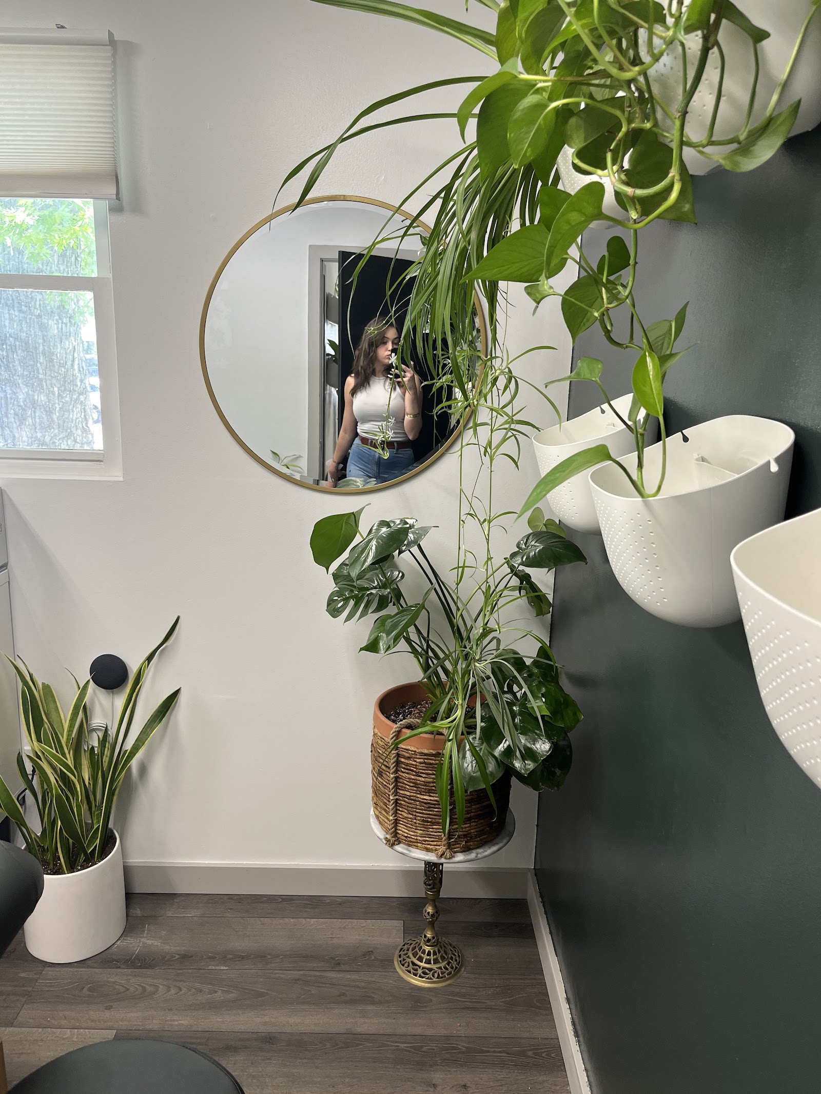 Bush and Brow Brazilian Wax Studio — photo 3