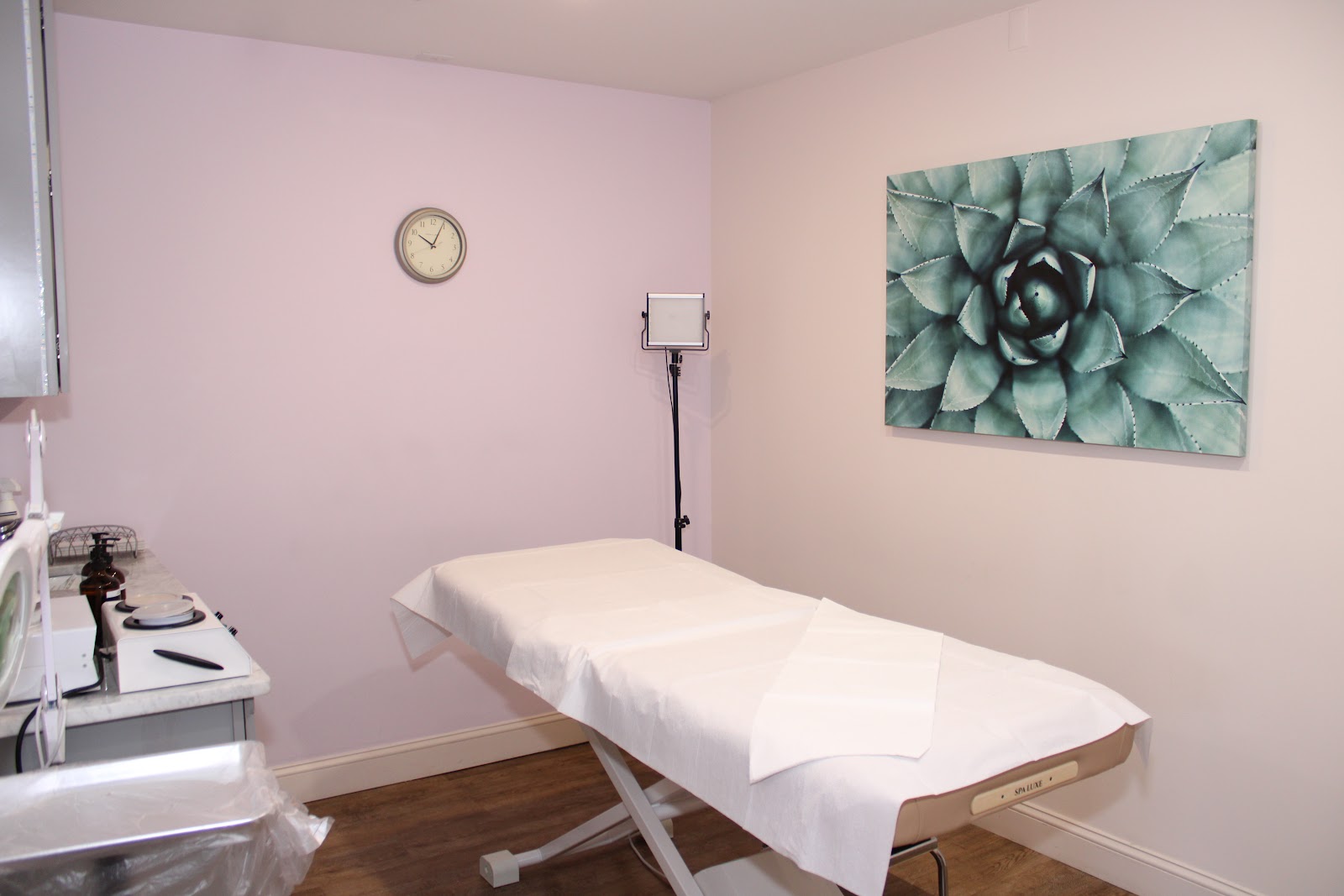 Georgi's Waxing Studio - Royal Oak Wax — photo 2