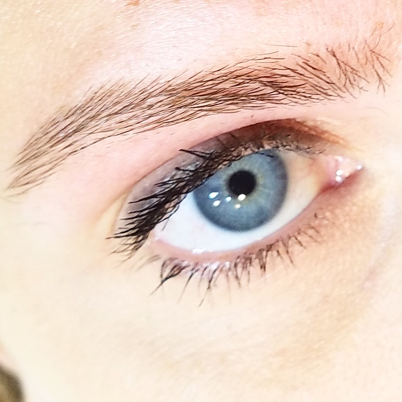 The Brow Bottega — photo 2