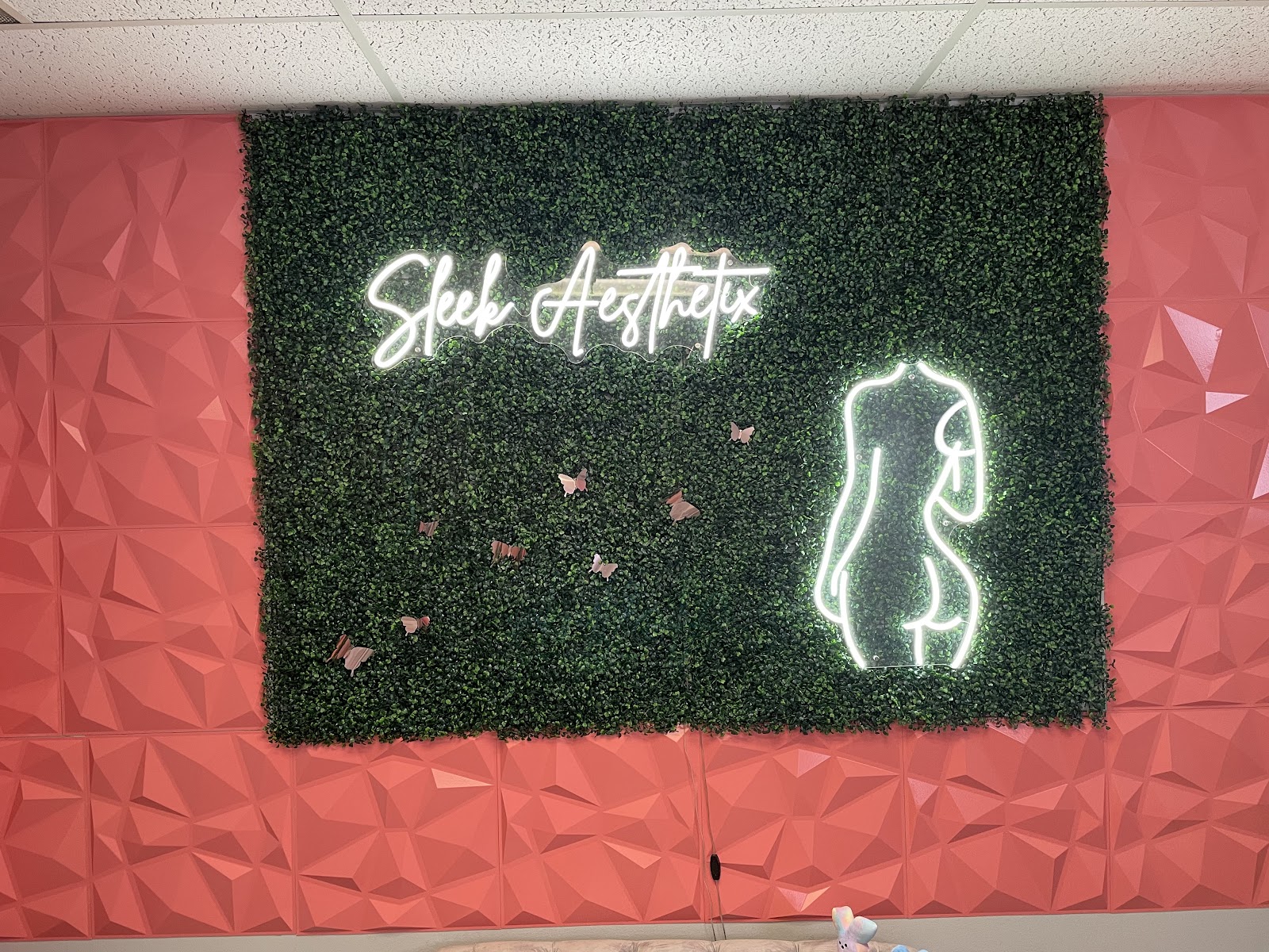 Sleek Aesthetix — photo 2