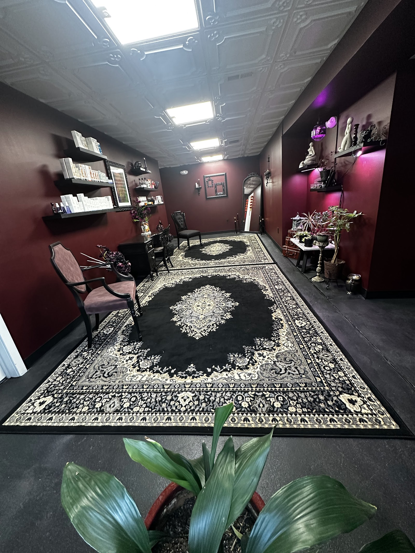 Solany Skin & Wellness — photo 2